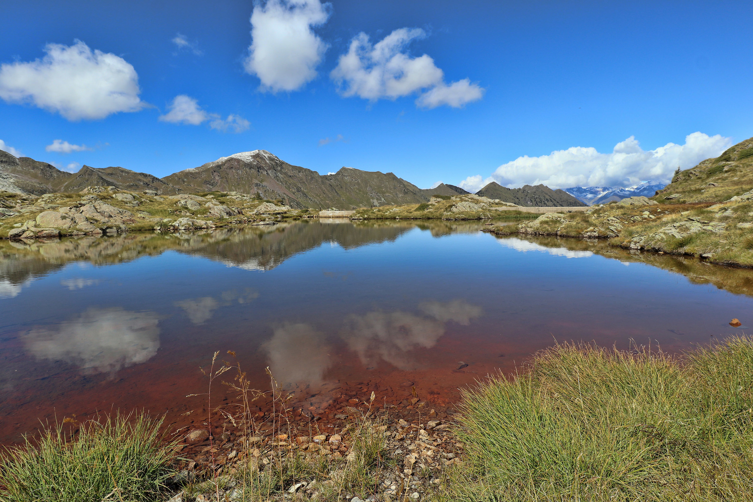 alpine pond