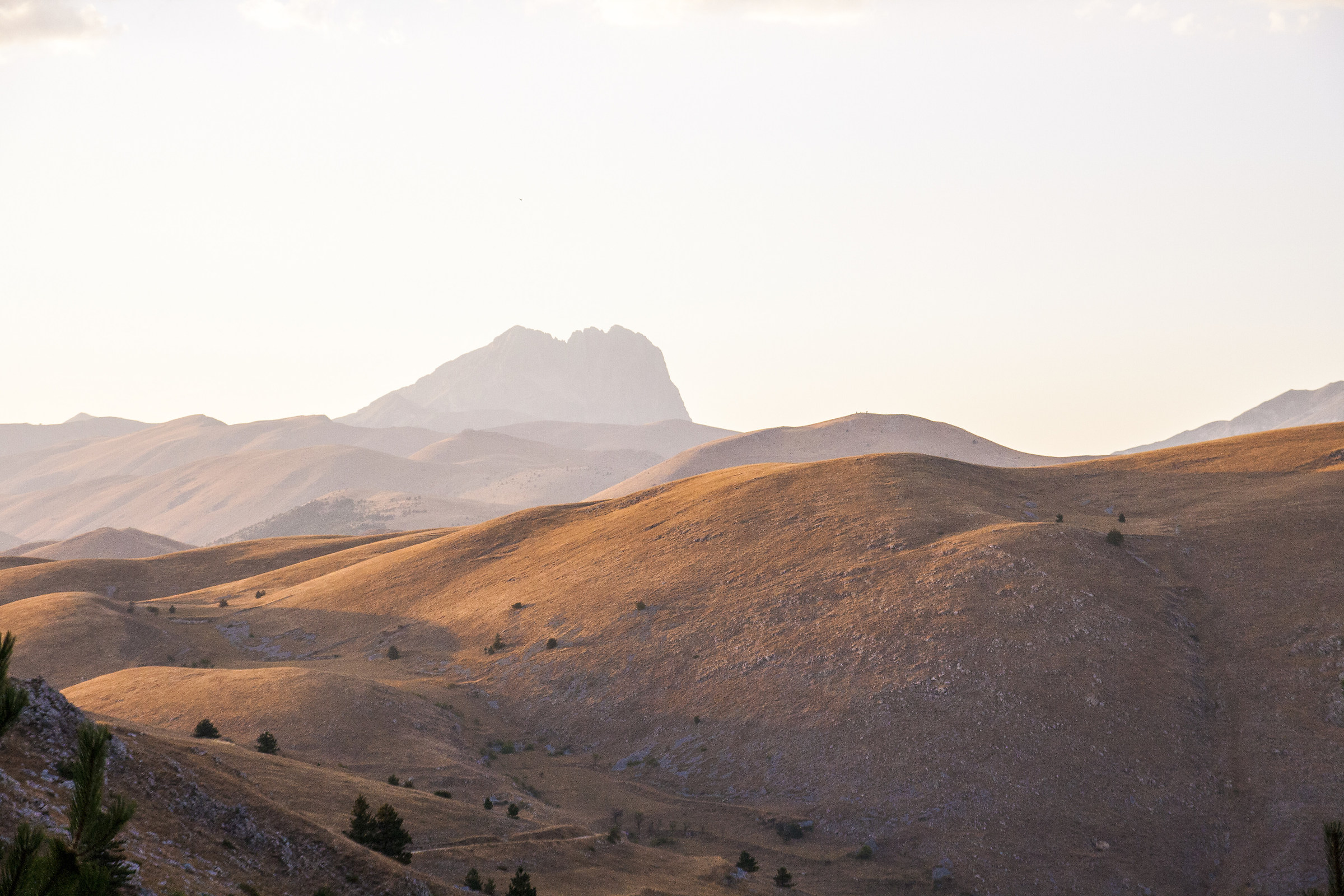 ...Terra chiama Marte!