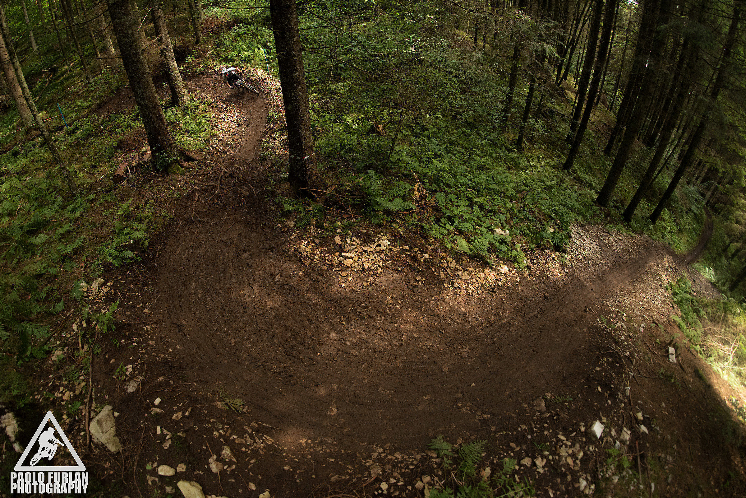 Shredding Nevegal # 2