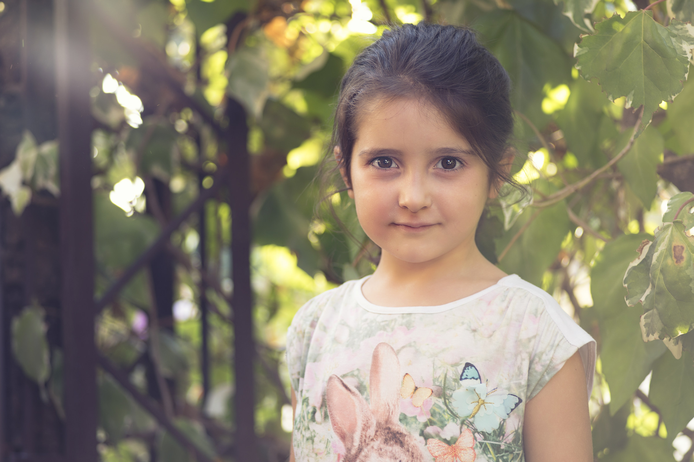 prima prova zeiss contax 90