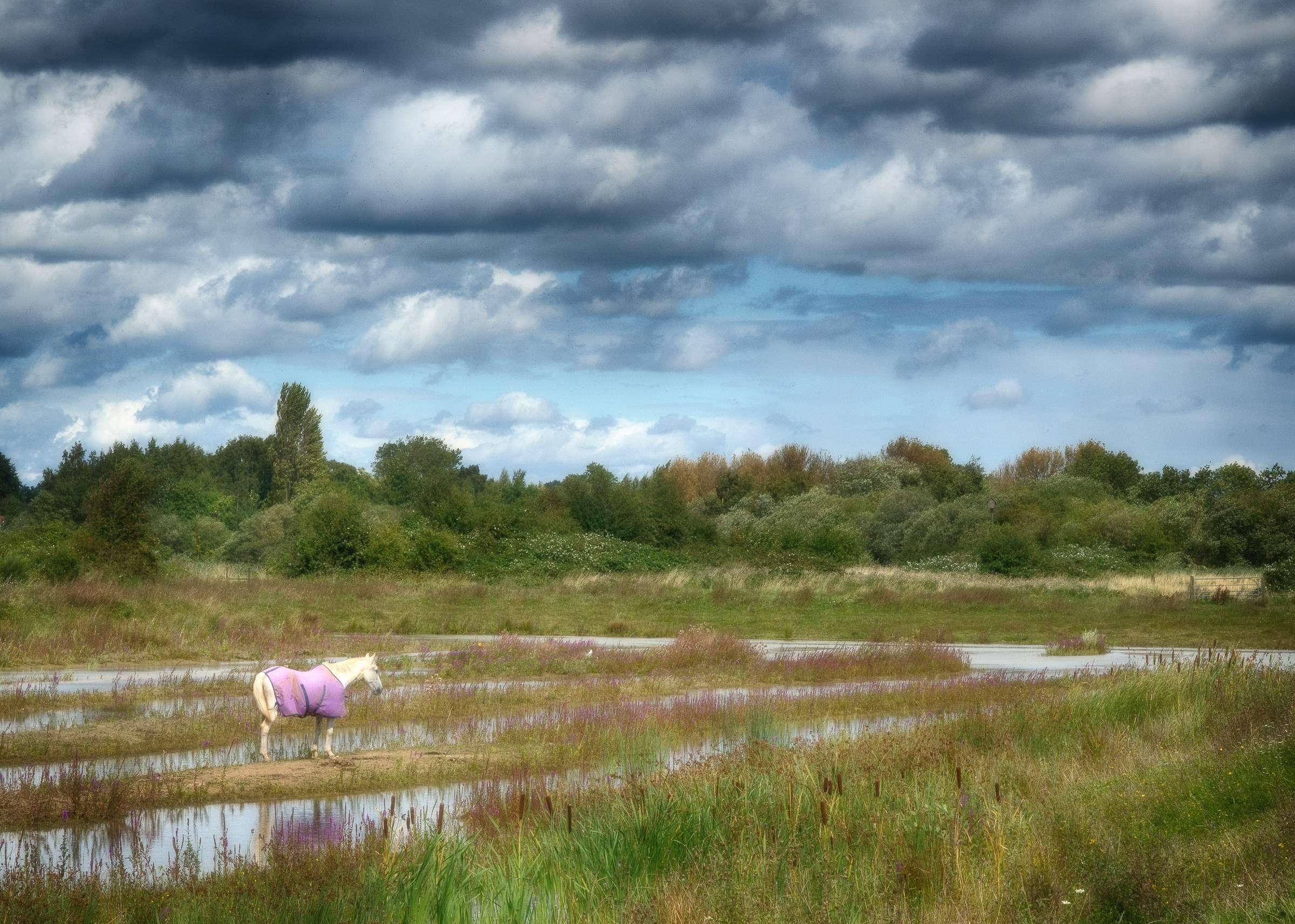 Attenborough - Nottingham