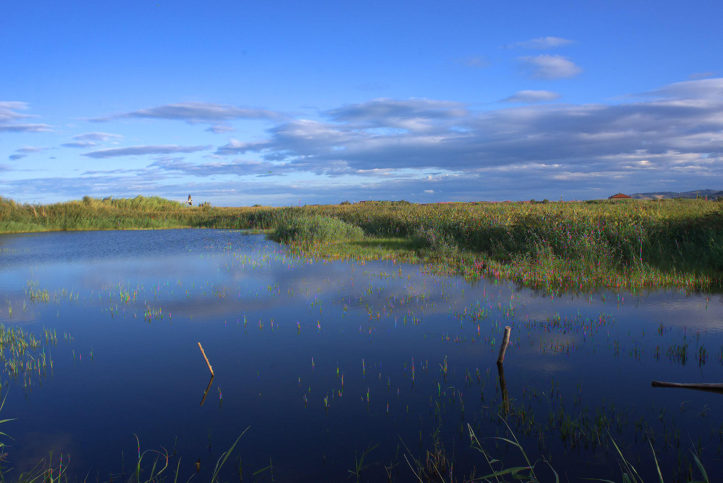 Laghetto to the Sentina reserve