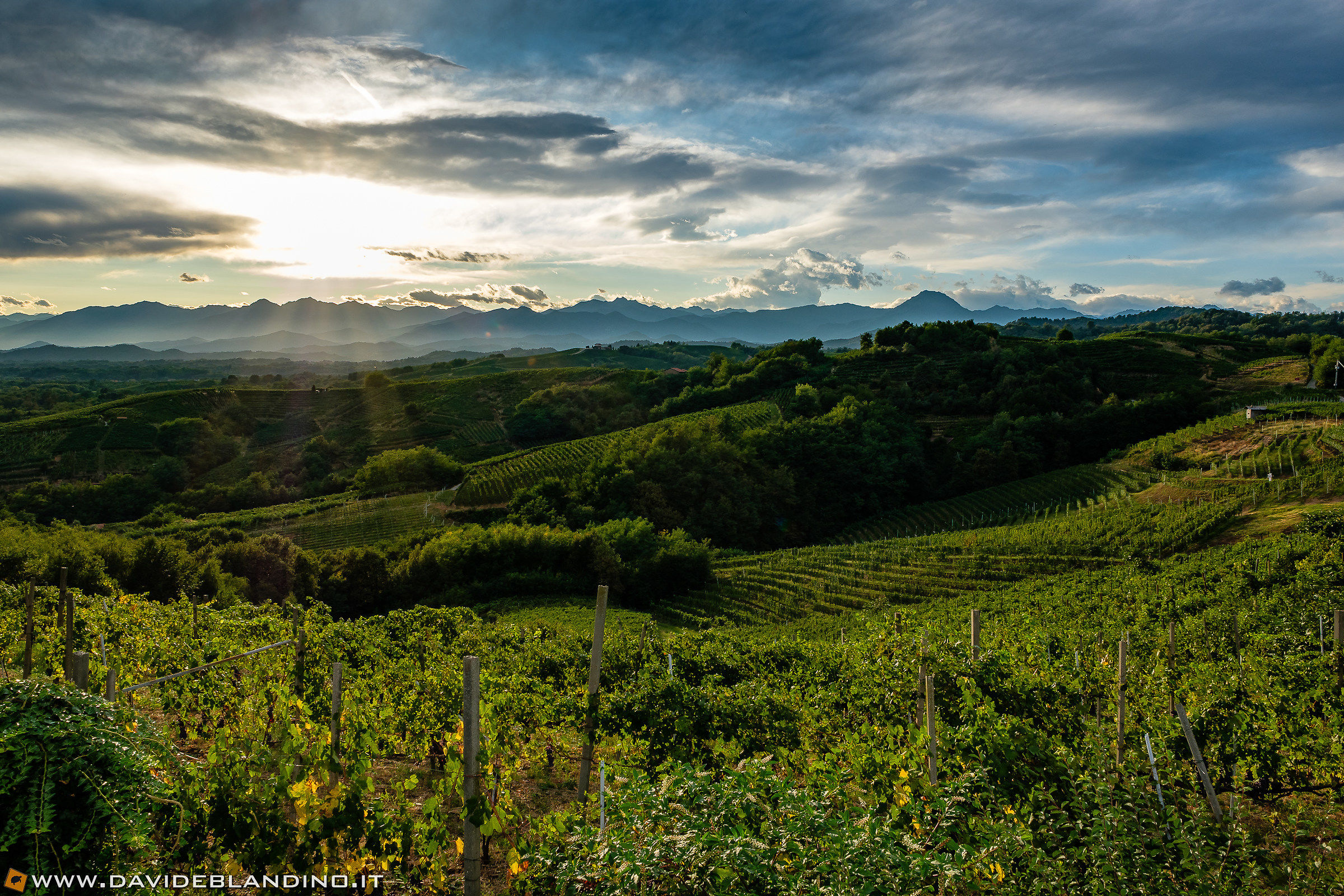 Le alpi dalla Torre Gattinara