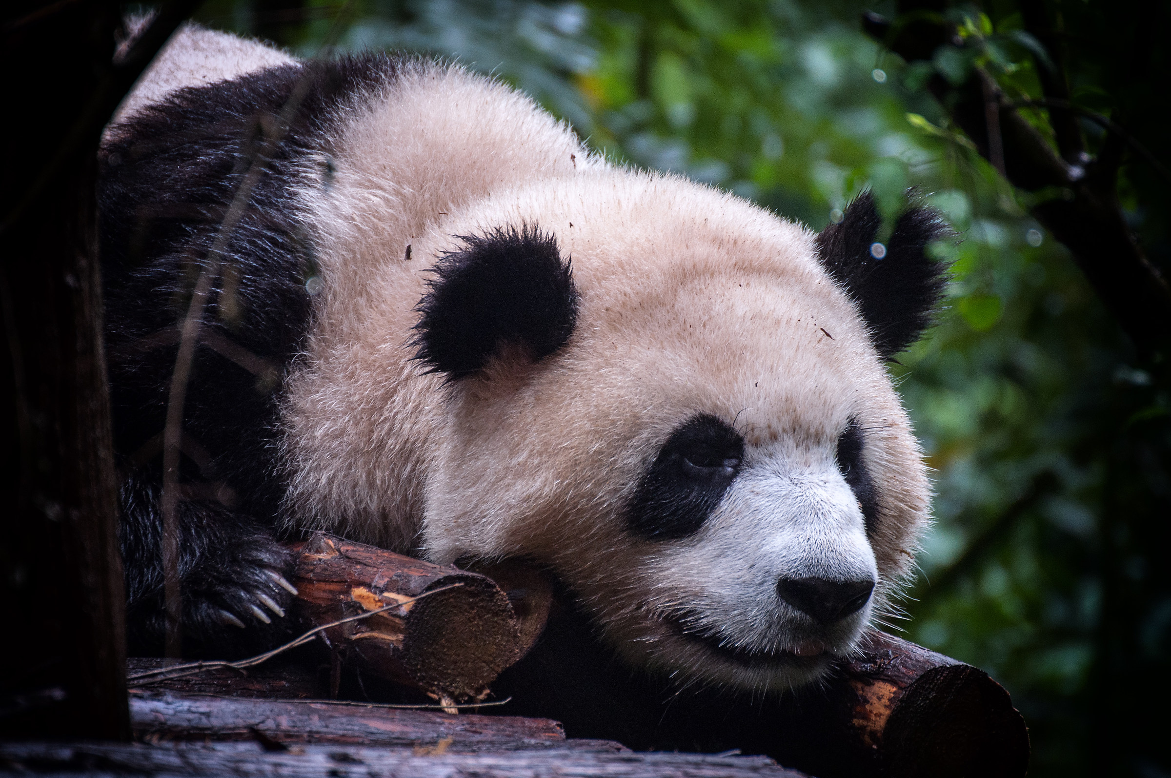 me and the return from vacation ...