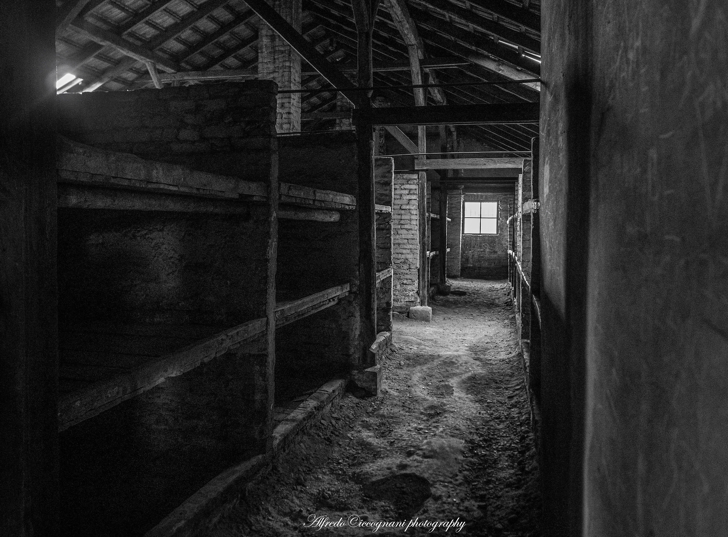 I letti dei bambini del campo