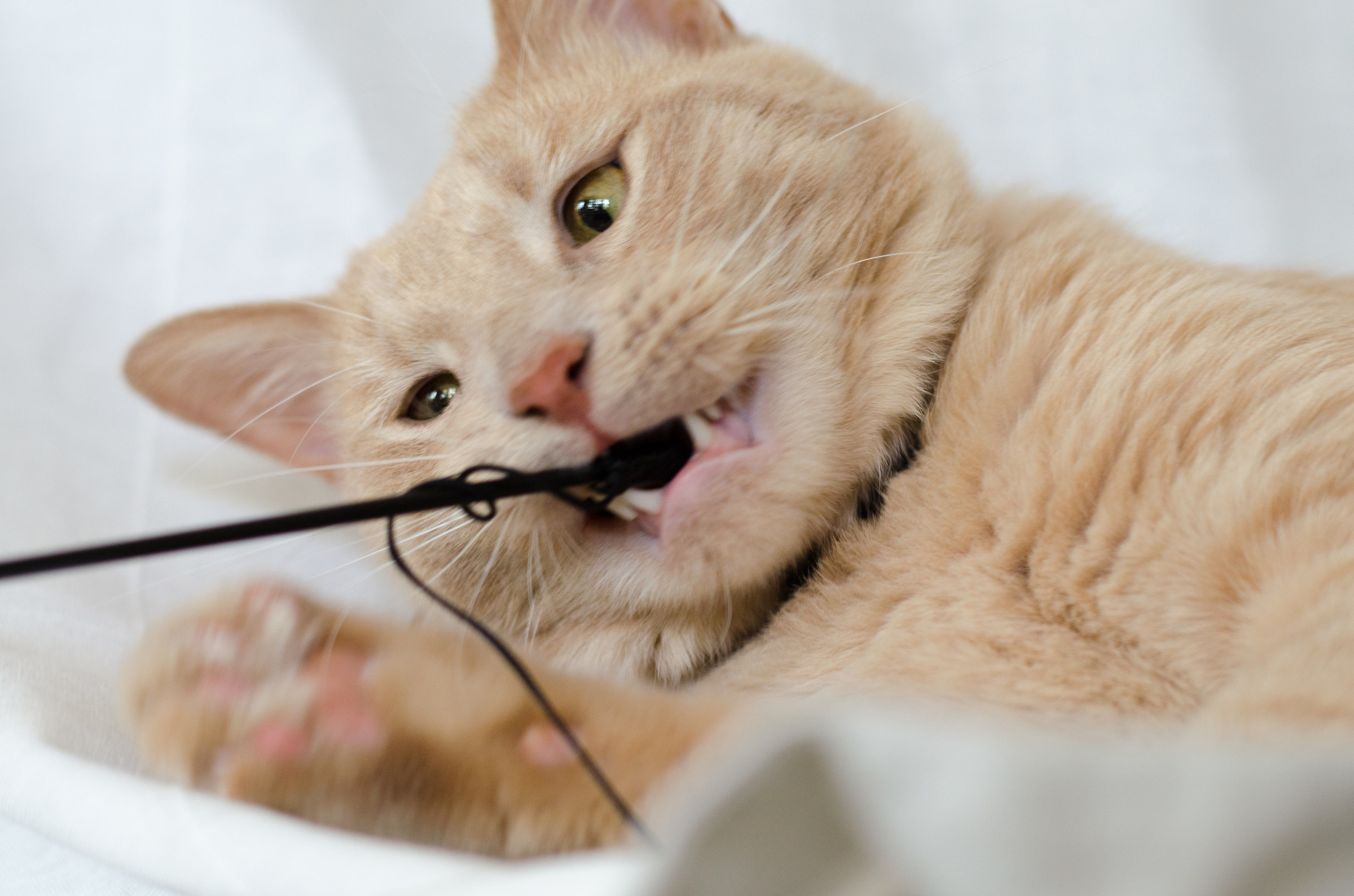 Look at the Brightside