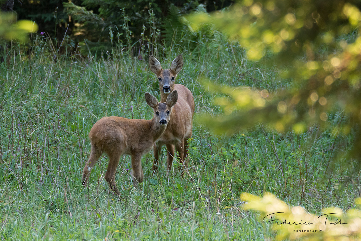 Mamma e figlio