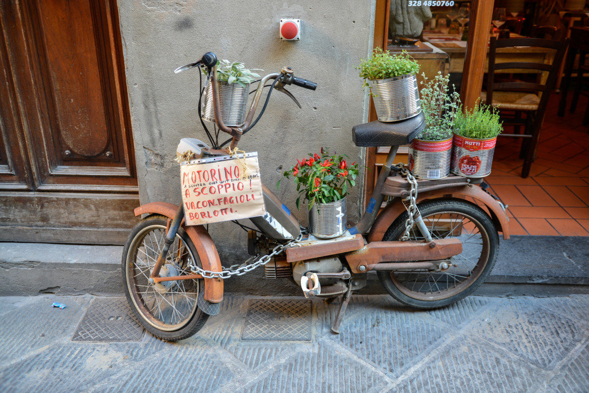 trazione a combustibile ecologico....anche se rumoroso.