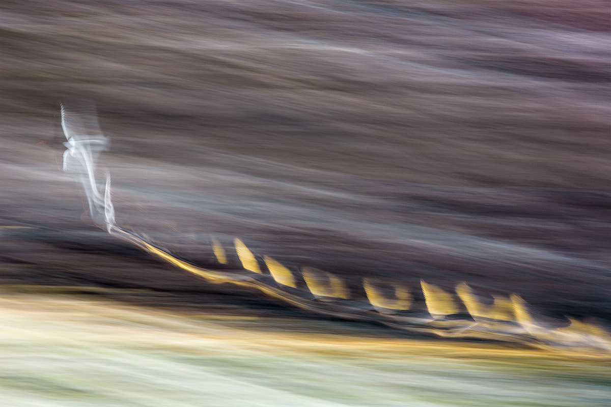 L'acrobata invisibile