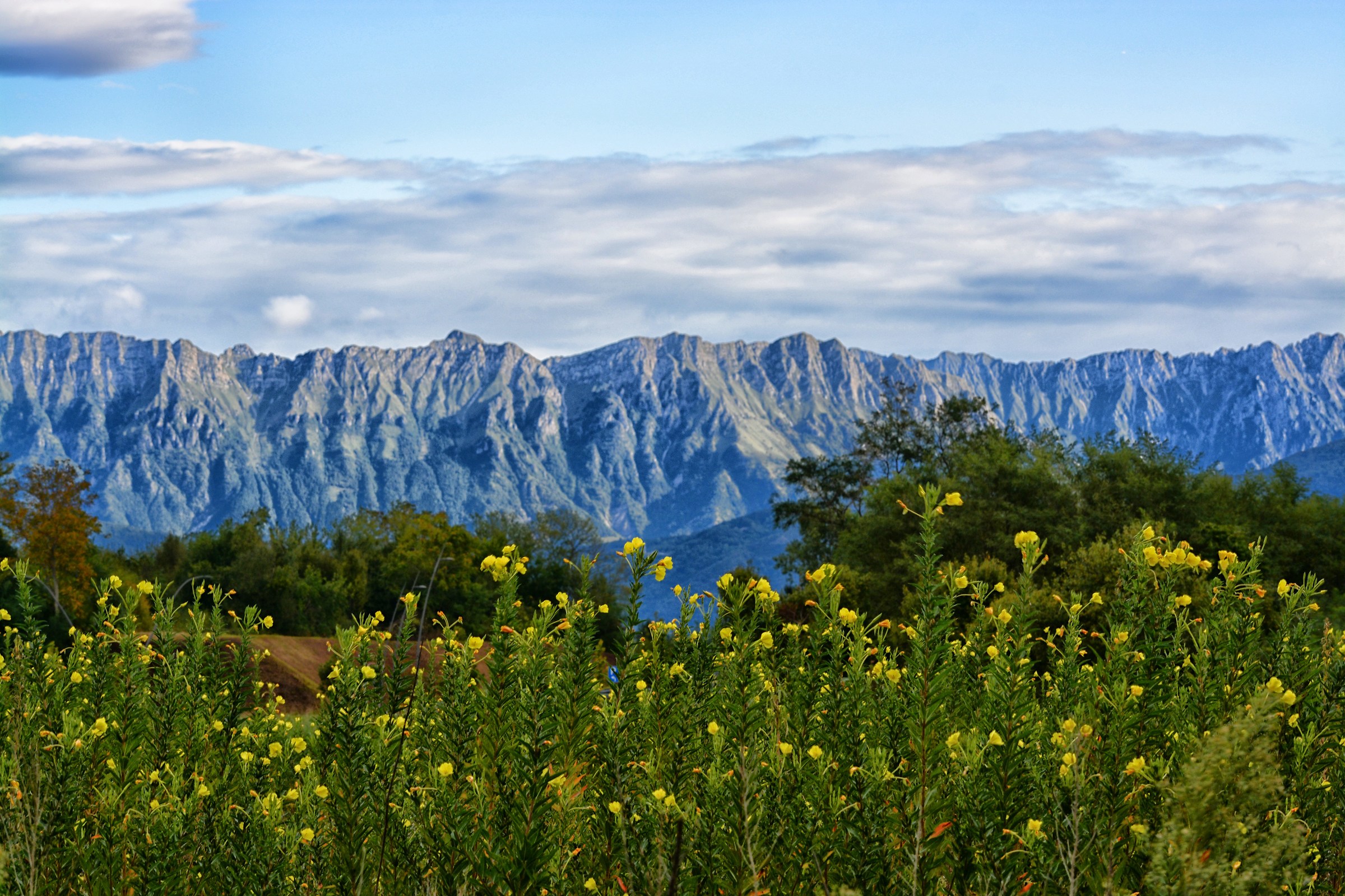 The Alps by the Cormor
