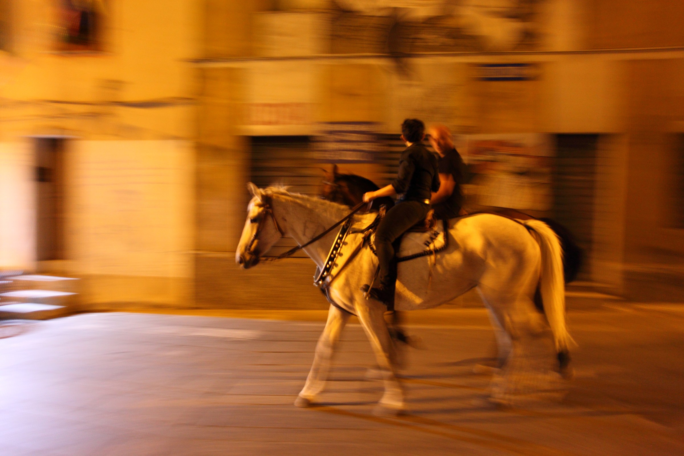 Horse panning to Orgosolo