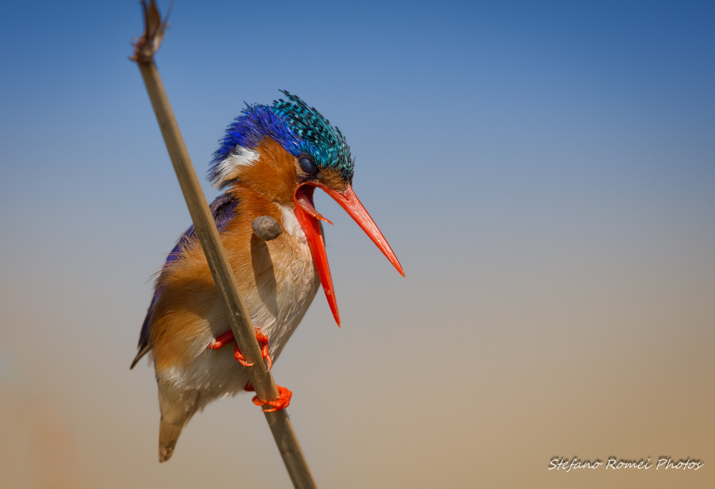 ops .. me dropped something ...