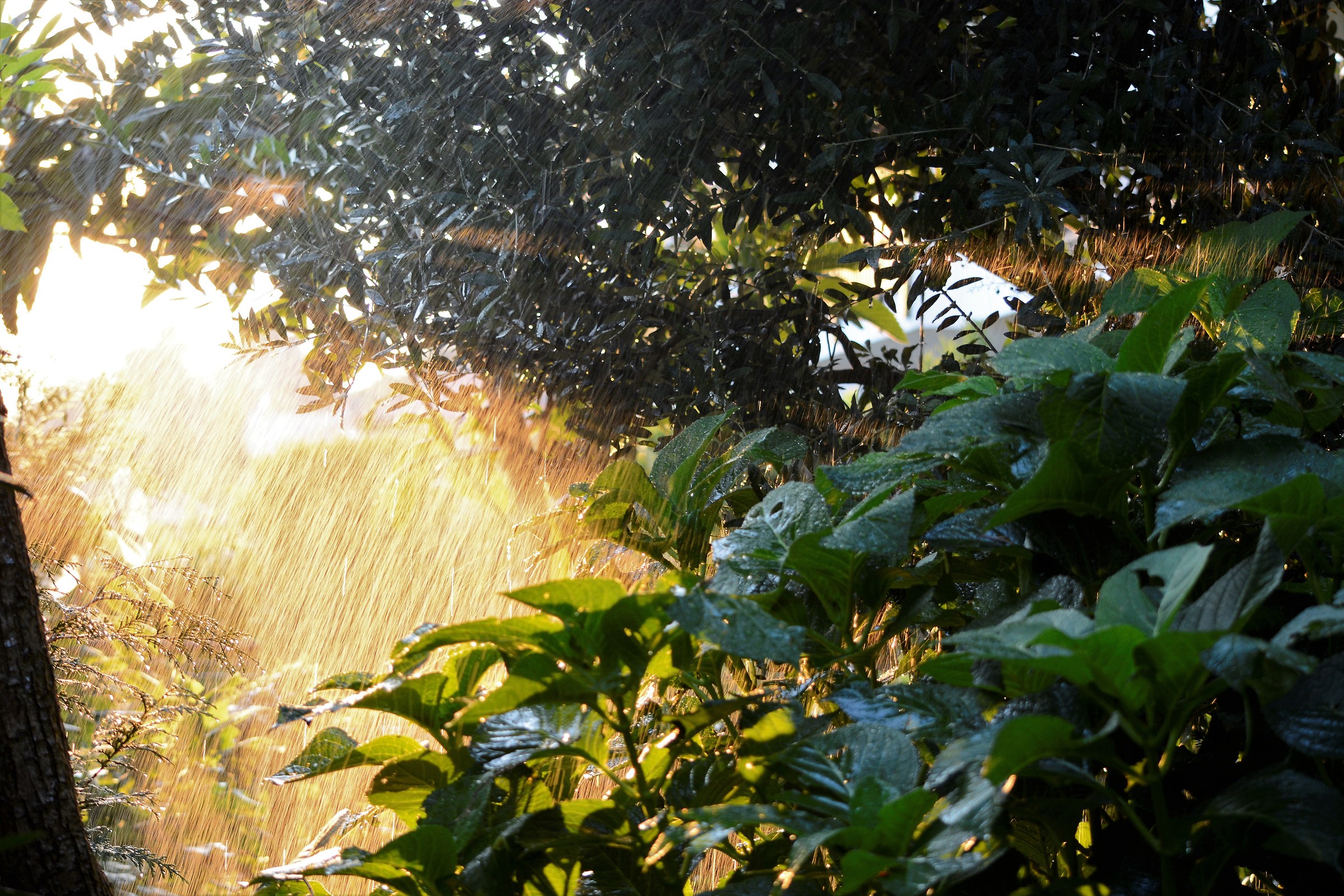 The storm goes away.