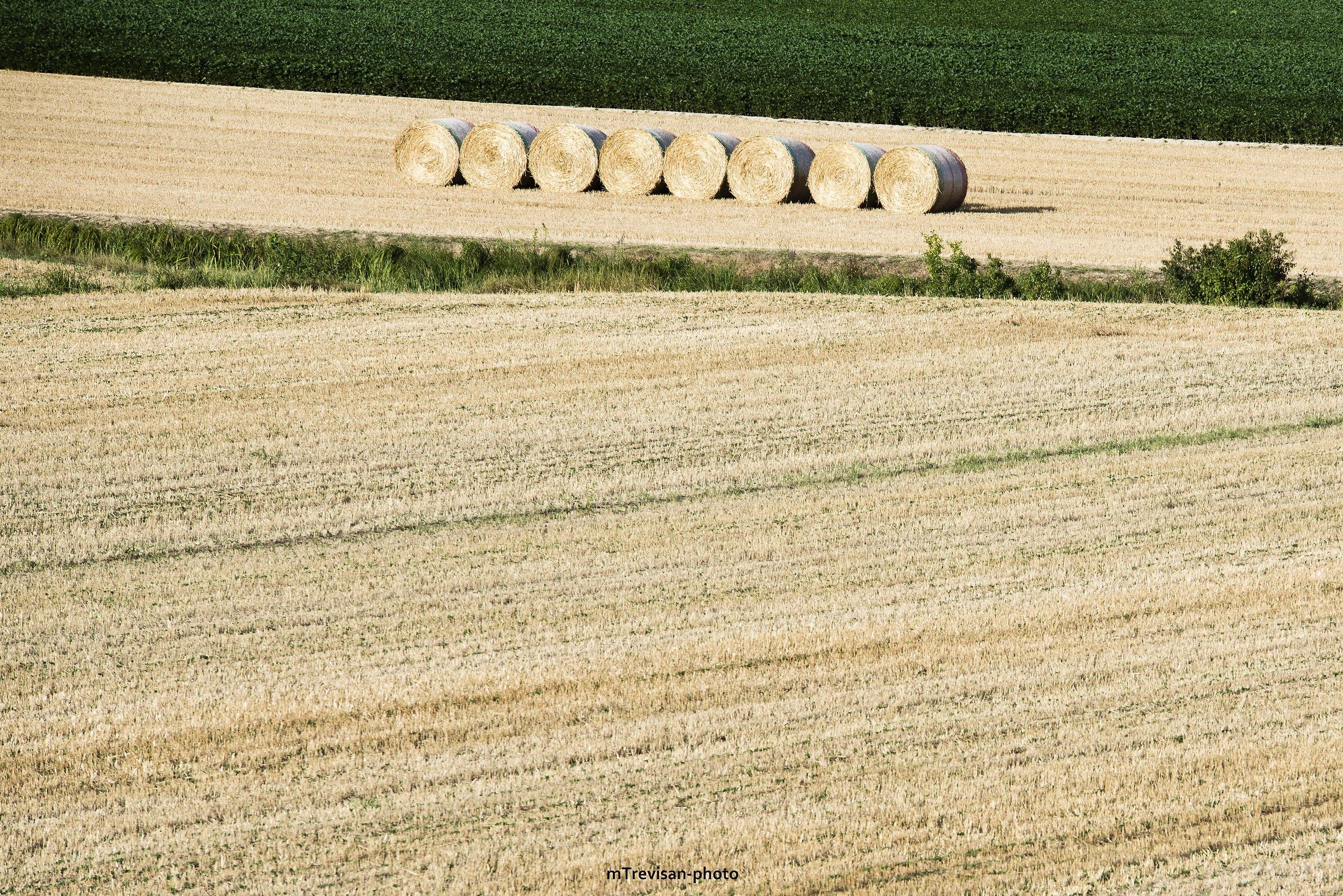 Linee oblique di un inizio estate