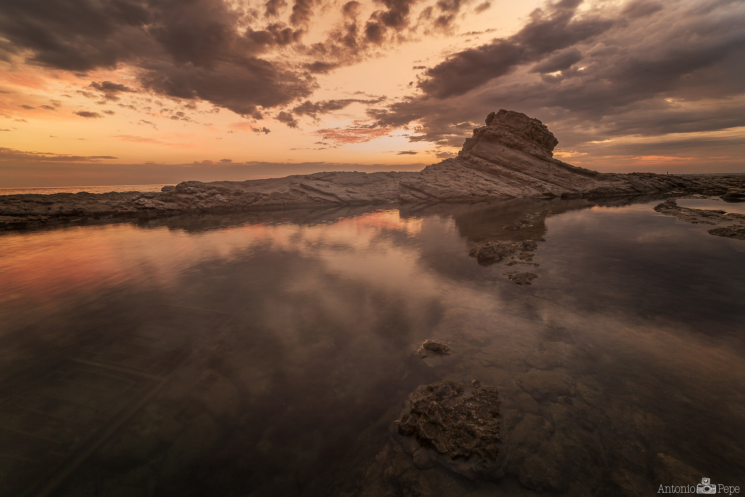 a railing from which to admire dawn "and the fish: D&qu...
