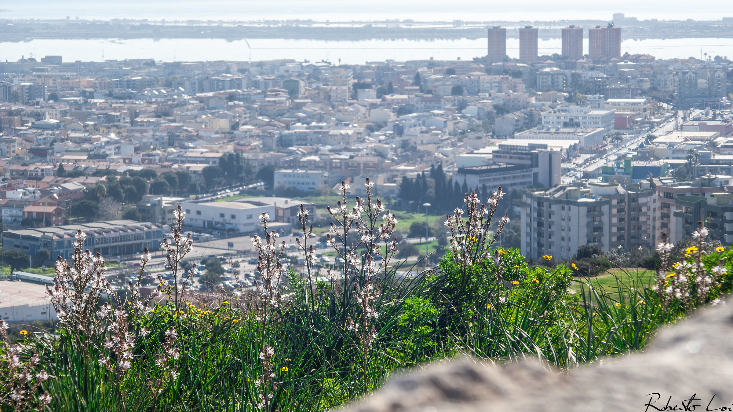 Panorama con verde brioso