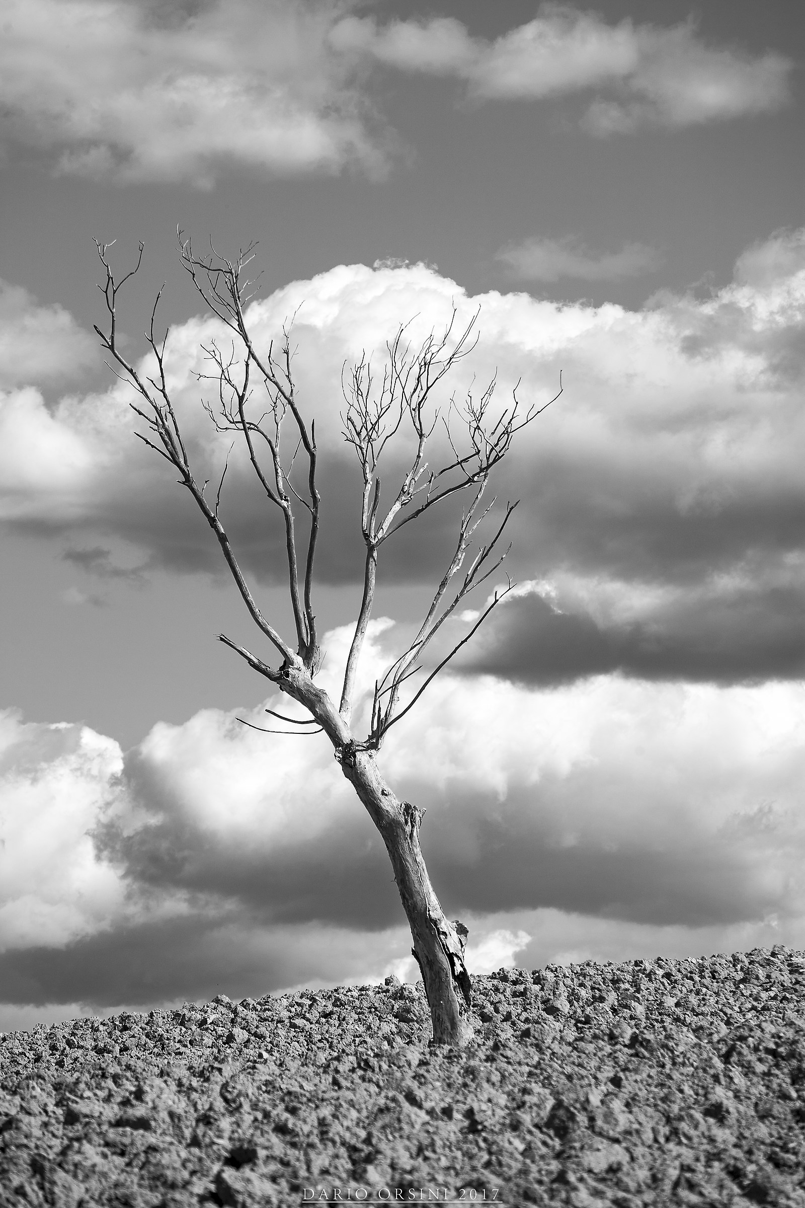 La solitudine degli anziani