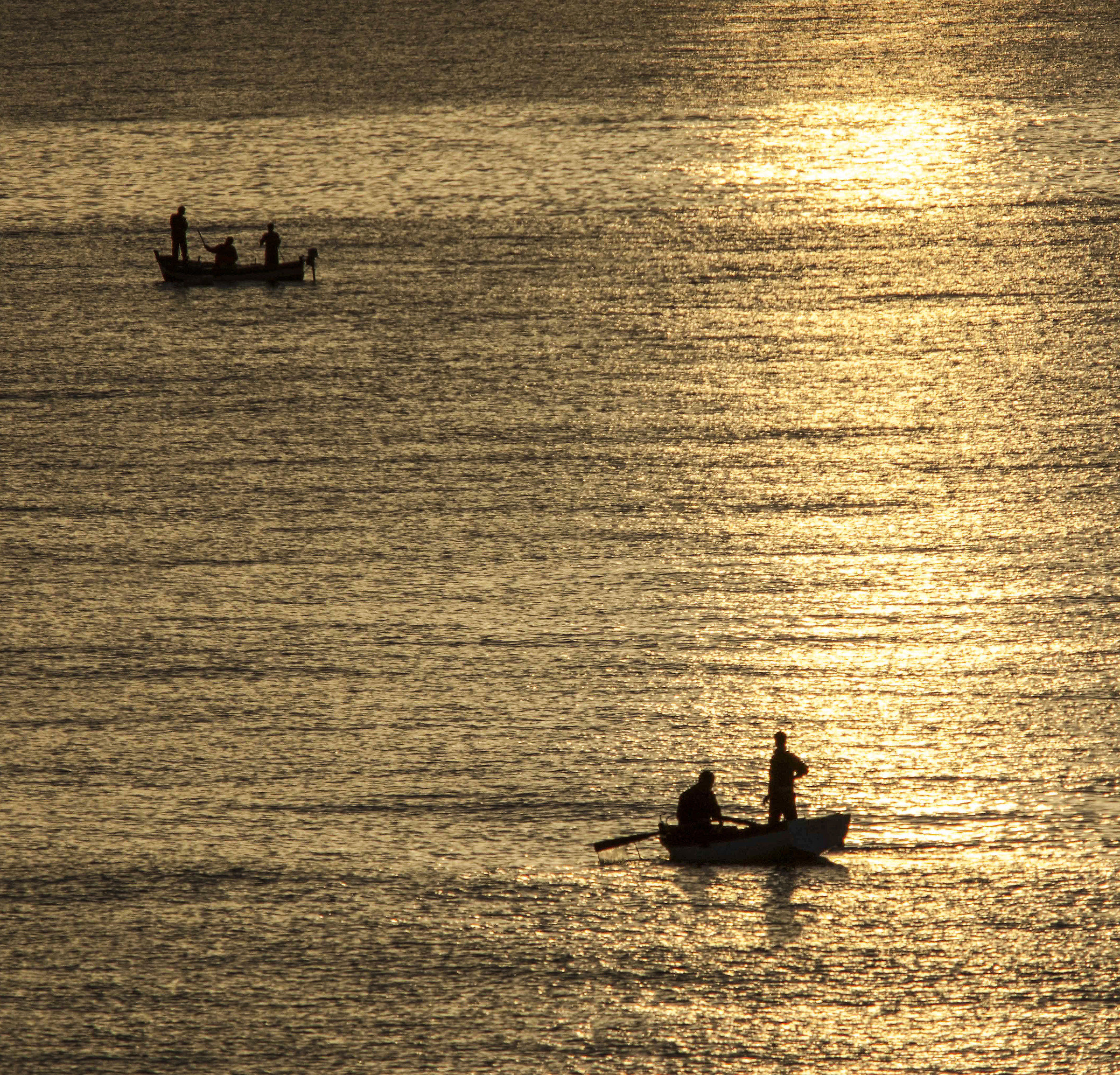 Fishing at dawn