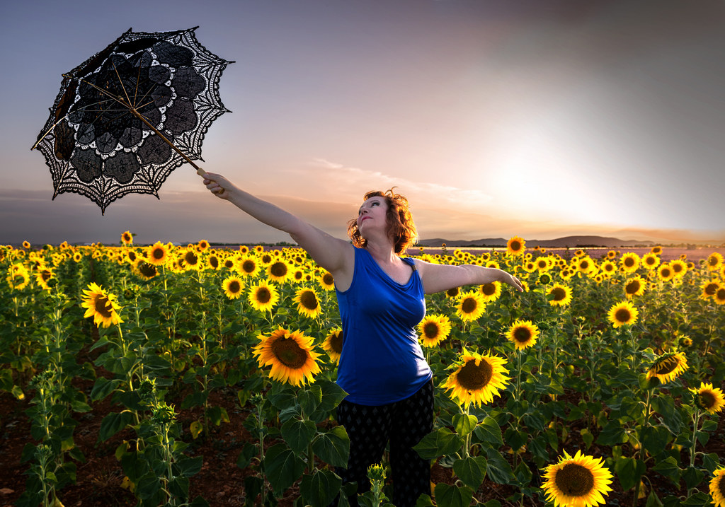 ...giochi di luce tra i girasoli