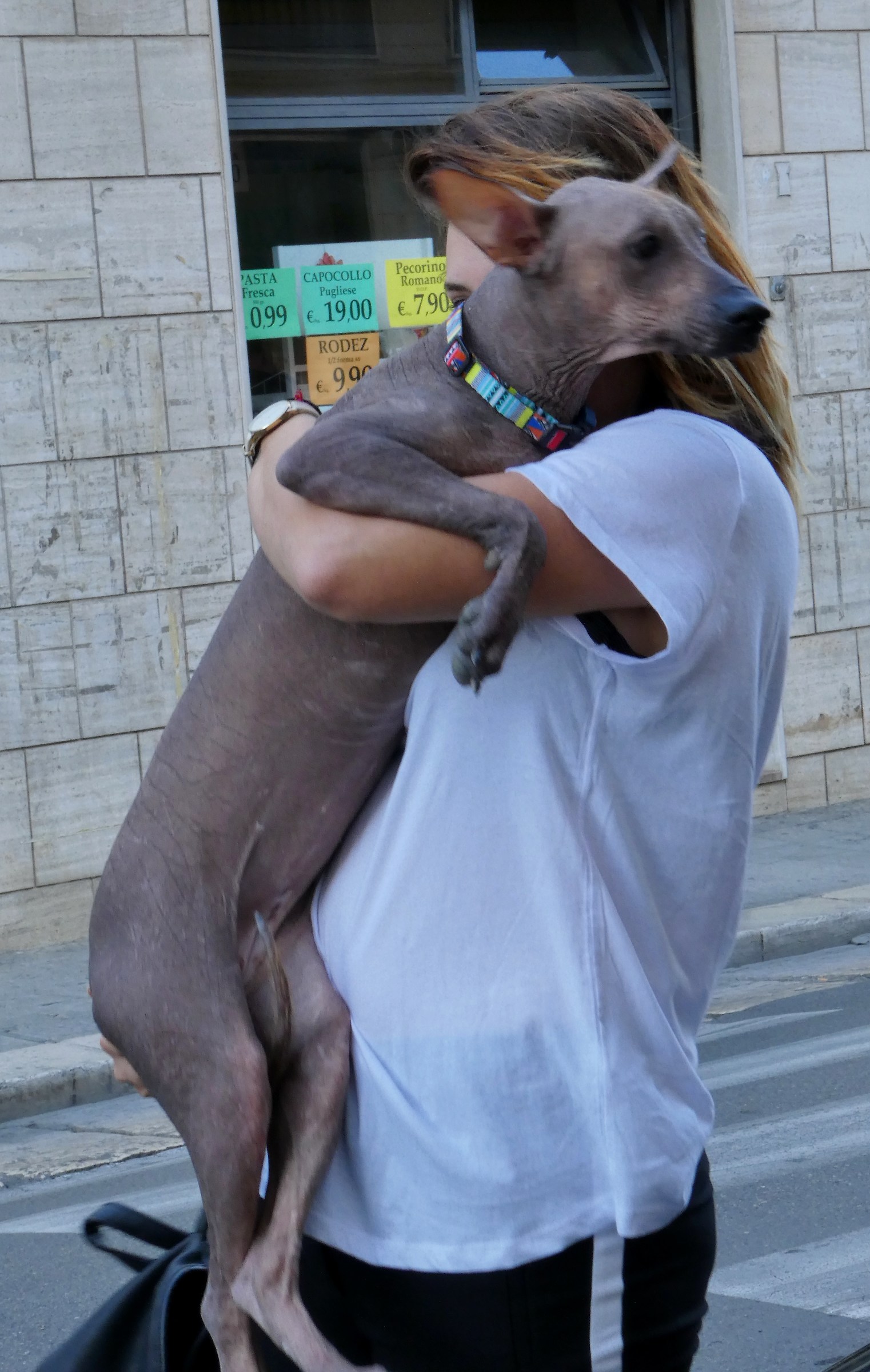 Polignano.turista with dog