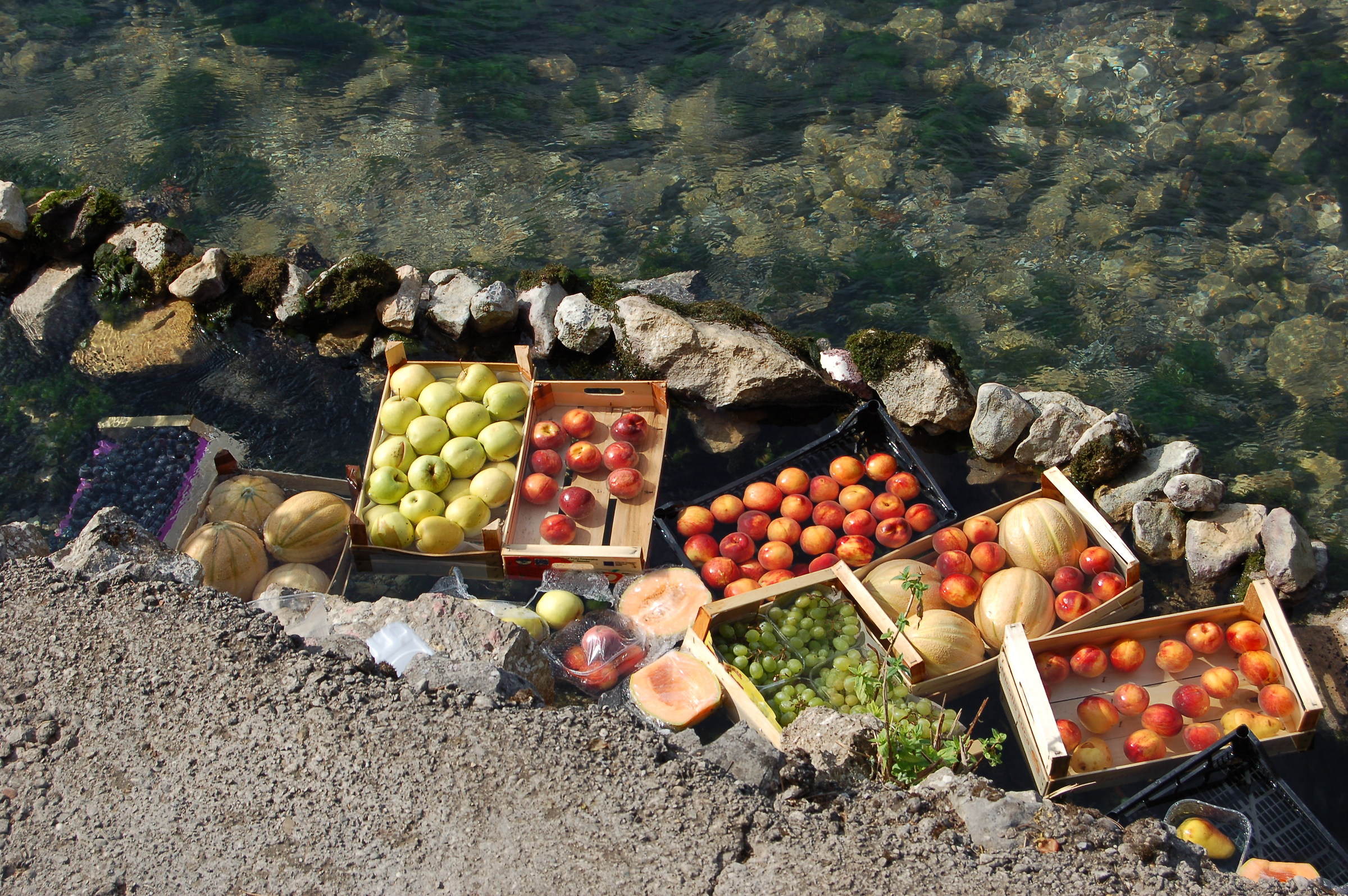 Frigoriferi alternativi