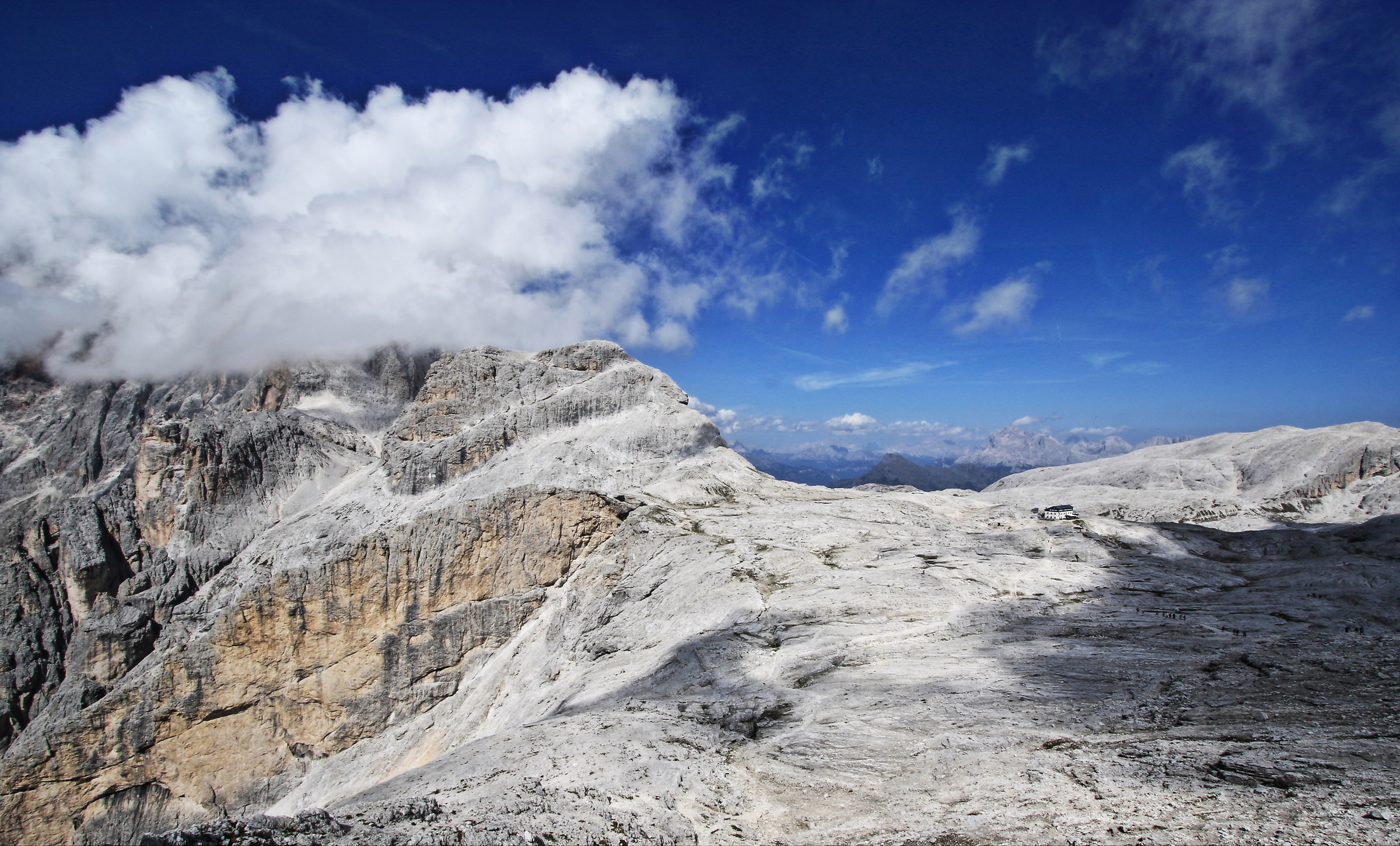 in view of the Rosetta refuge