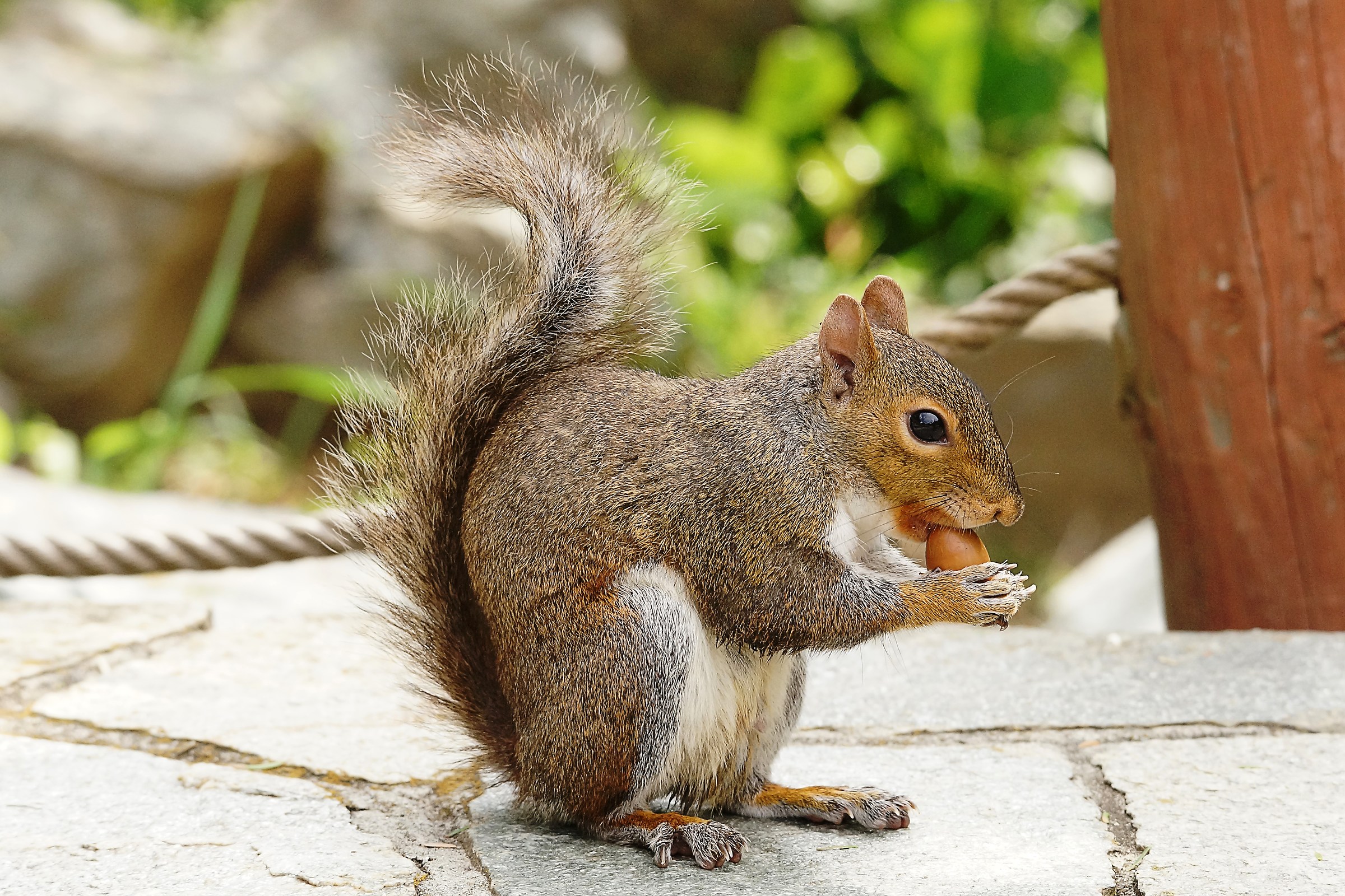 Che bello vederti mangiare