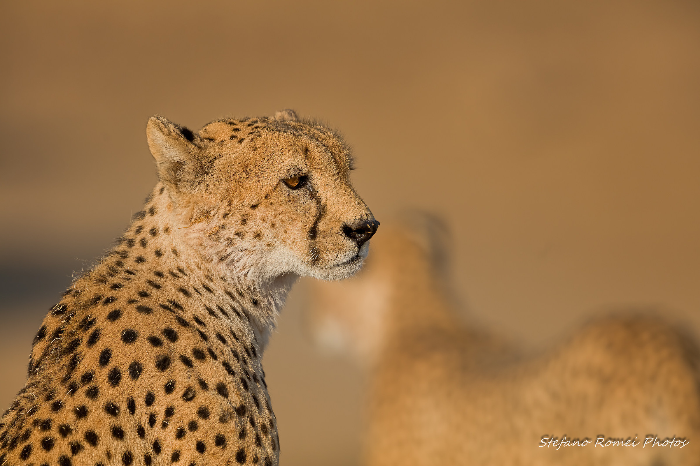 una lacrima sul viso