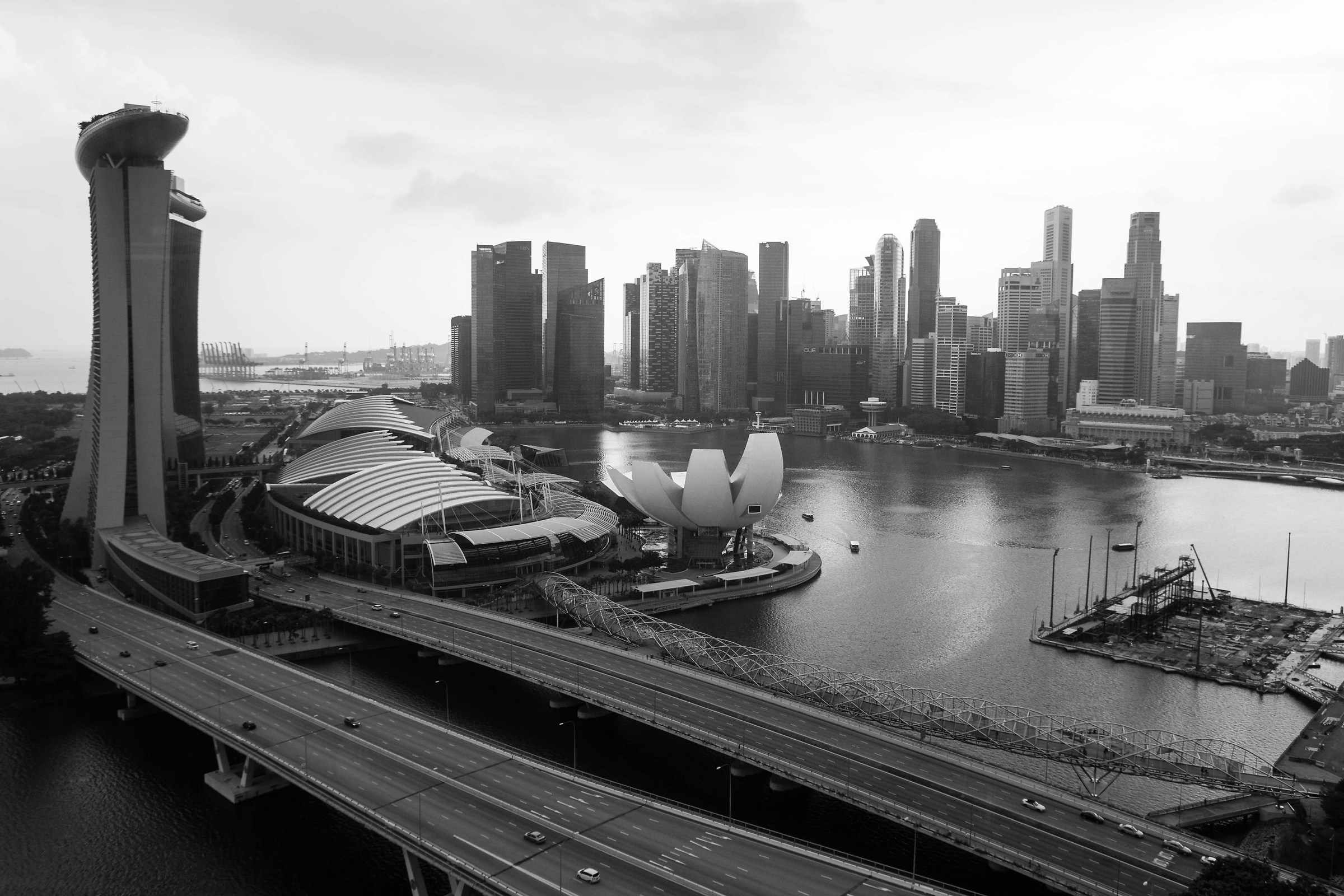 Singapore visto dal Flyer