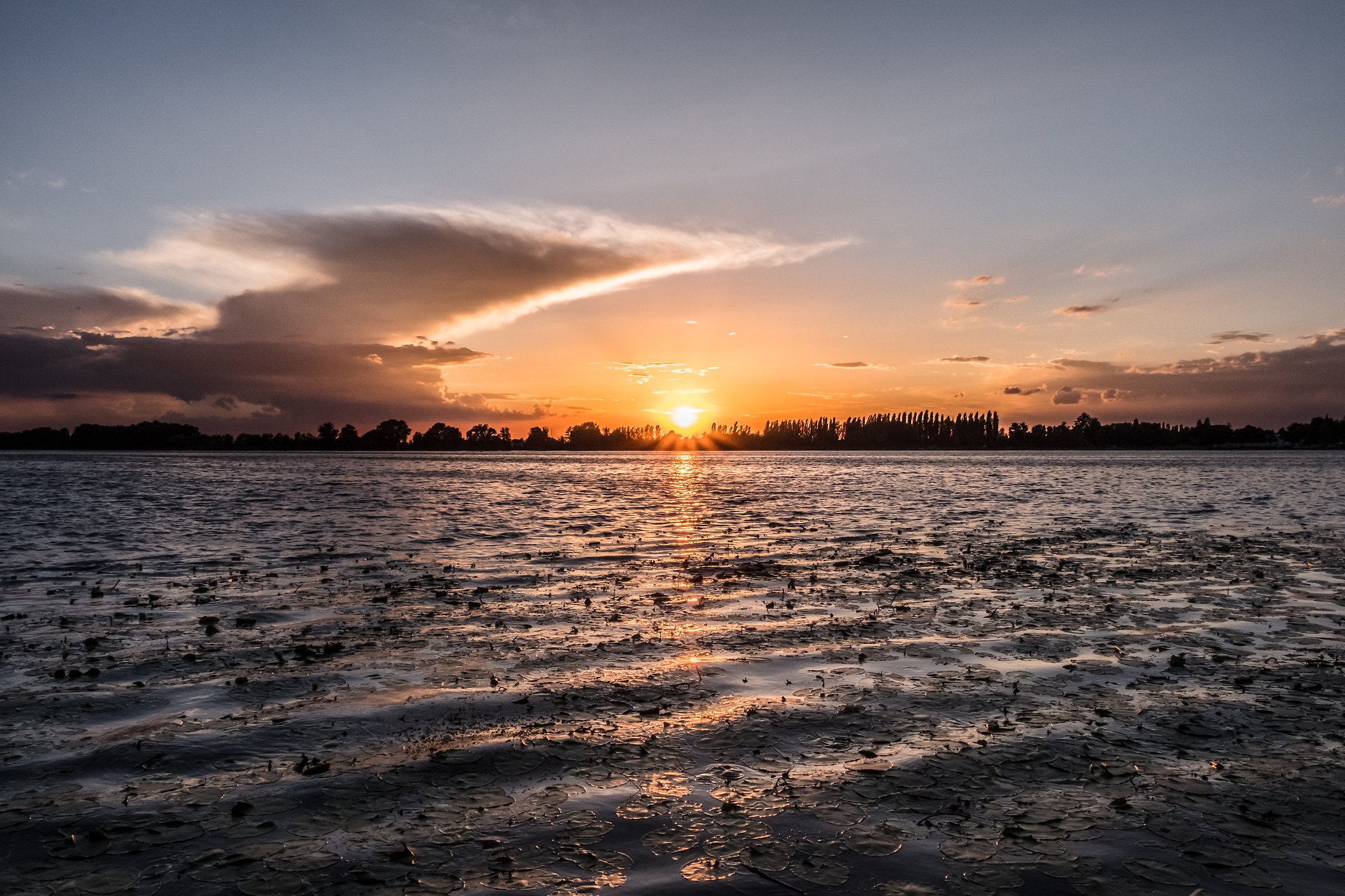 Un Altra Variante Del Lago Di Mantova...!!!