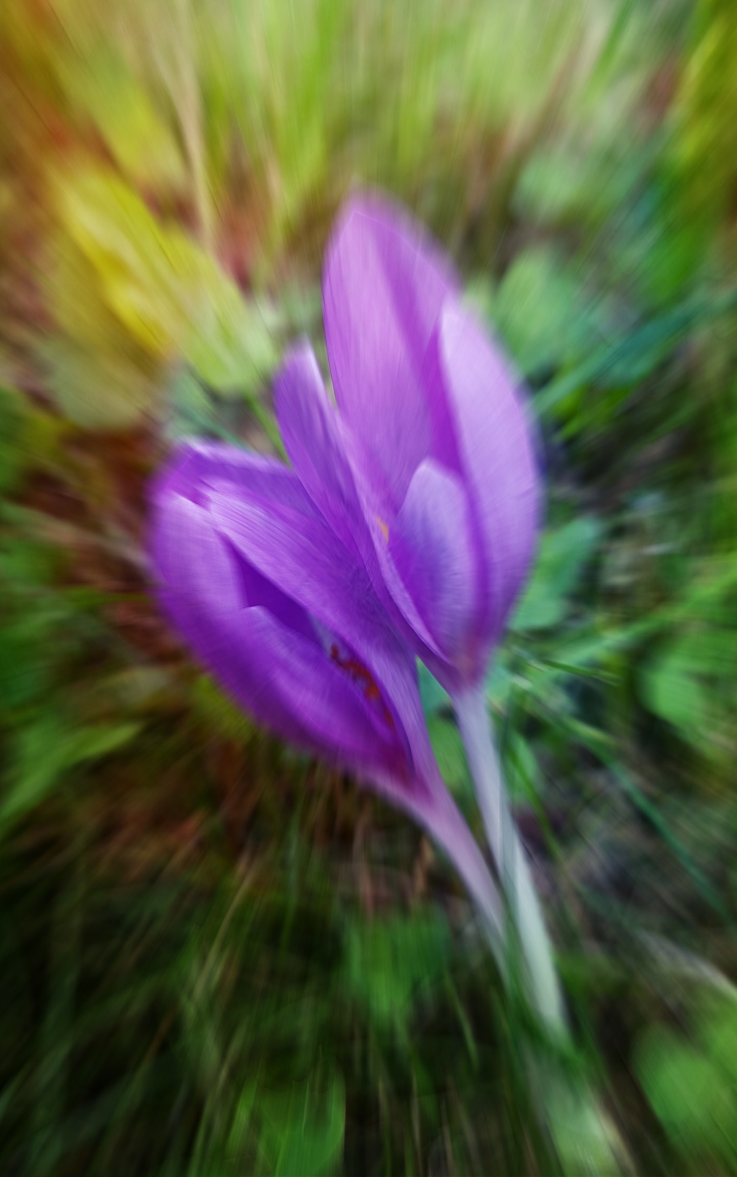 Macro with smartphone