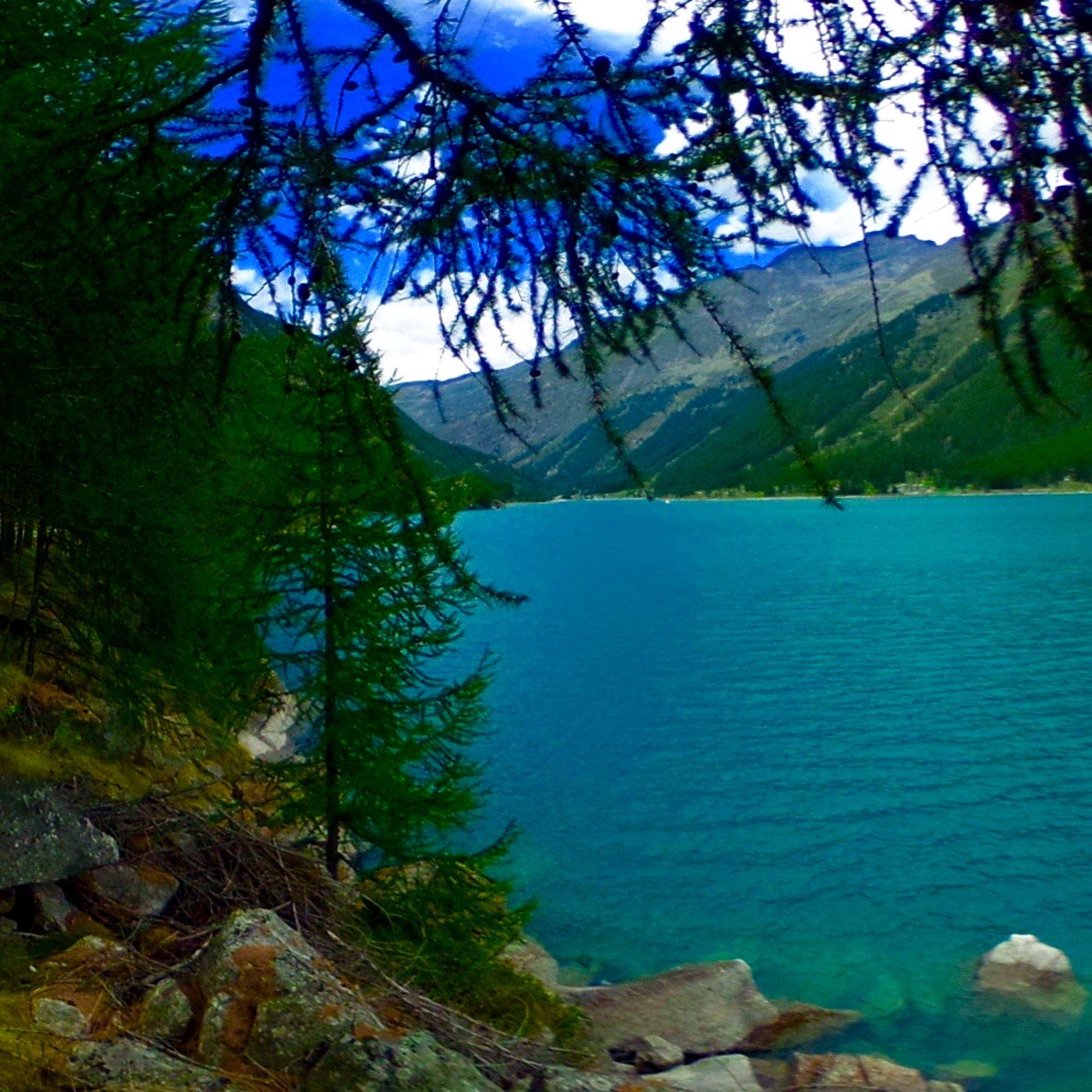 Scorcio on the lake of Ceresole Piedmont