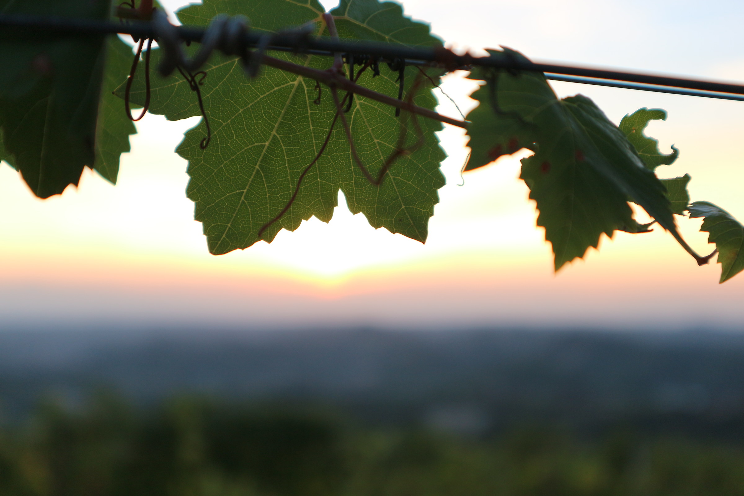Screw on the sky at sunset
