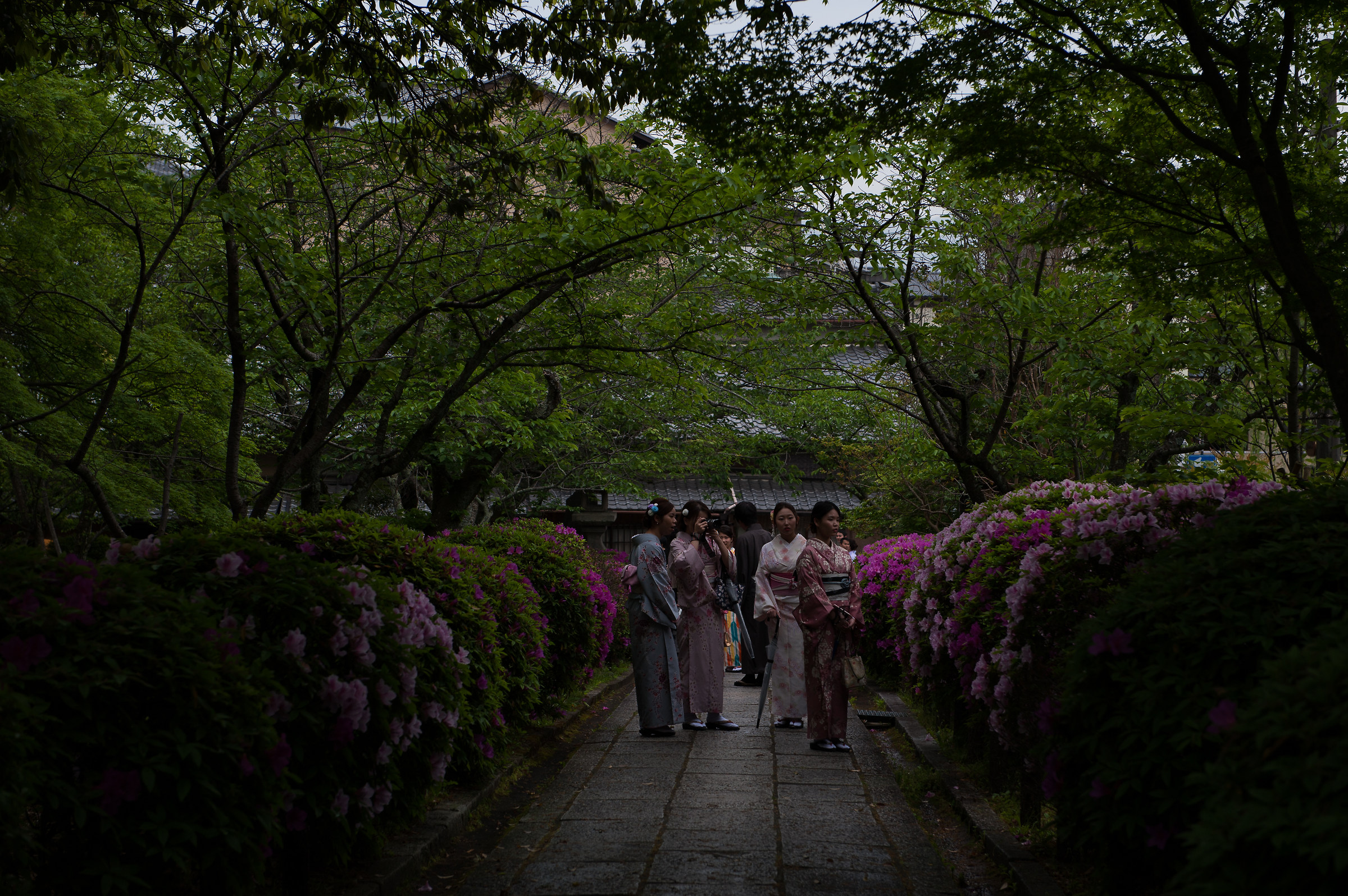 Traditional modernity