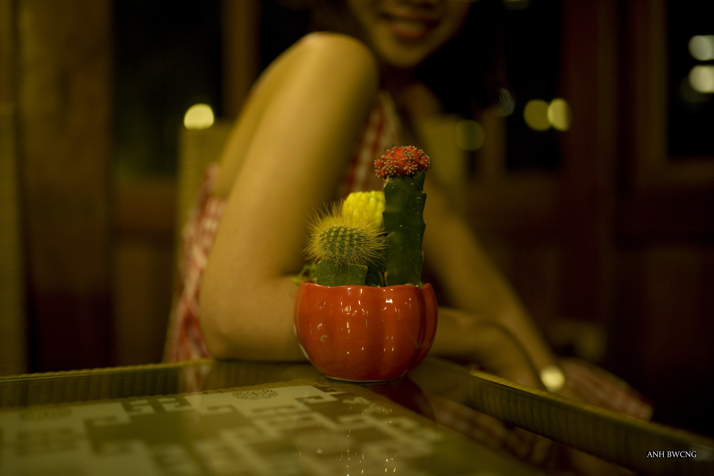Woman Beside The Cactus