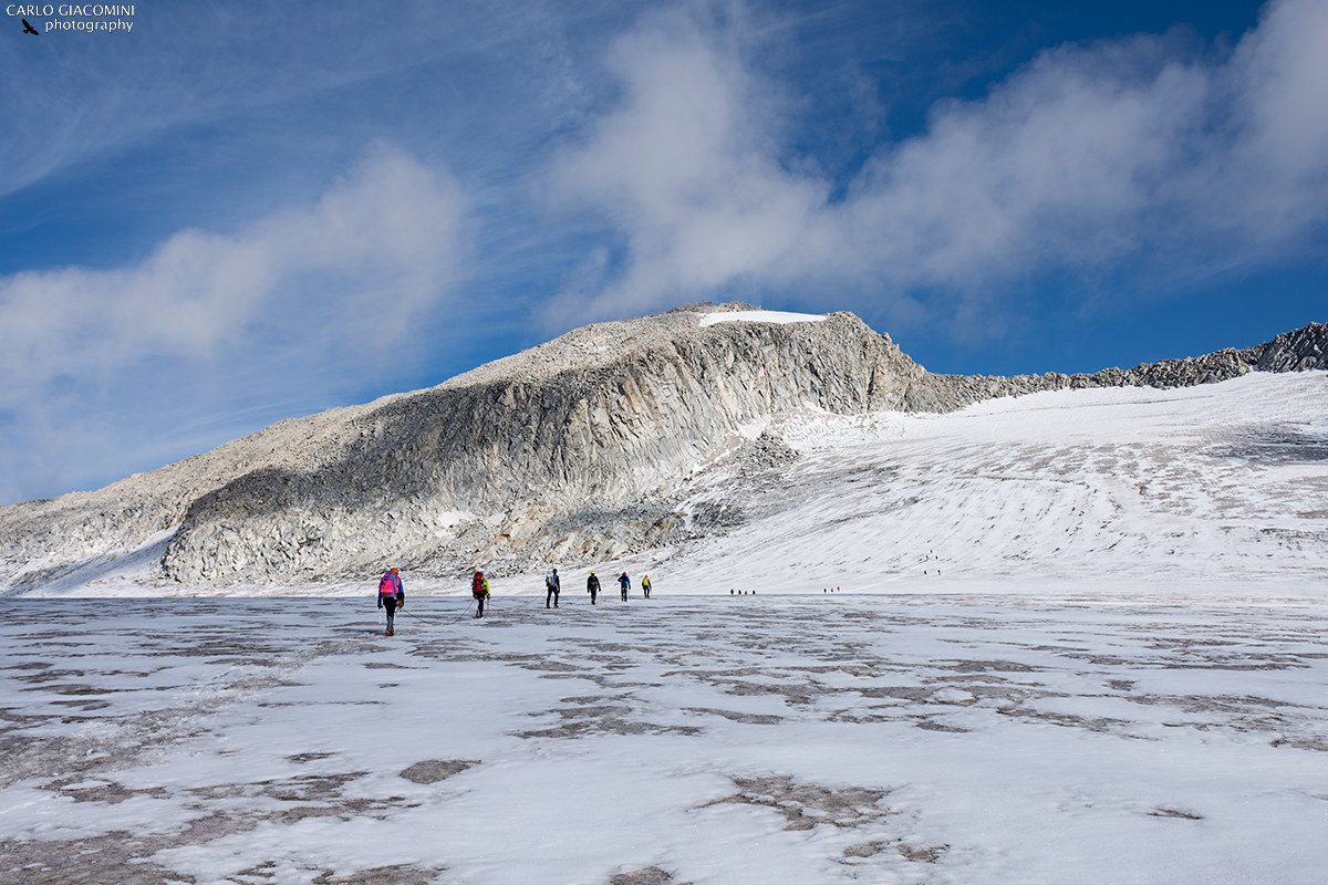 Verso la cima dell'Adamello