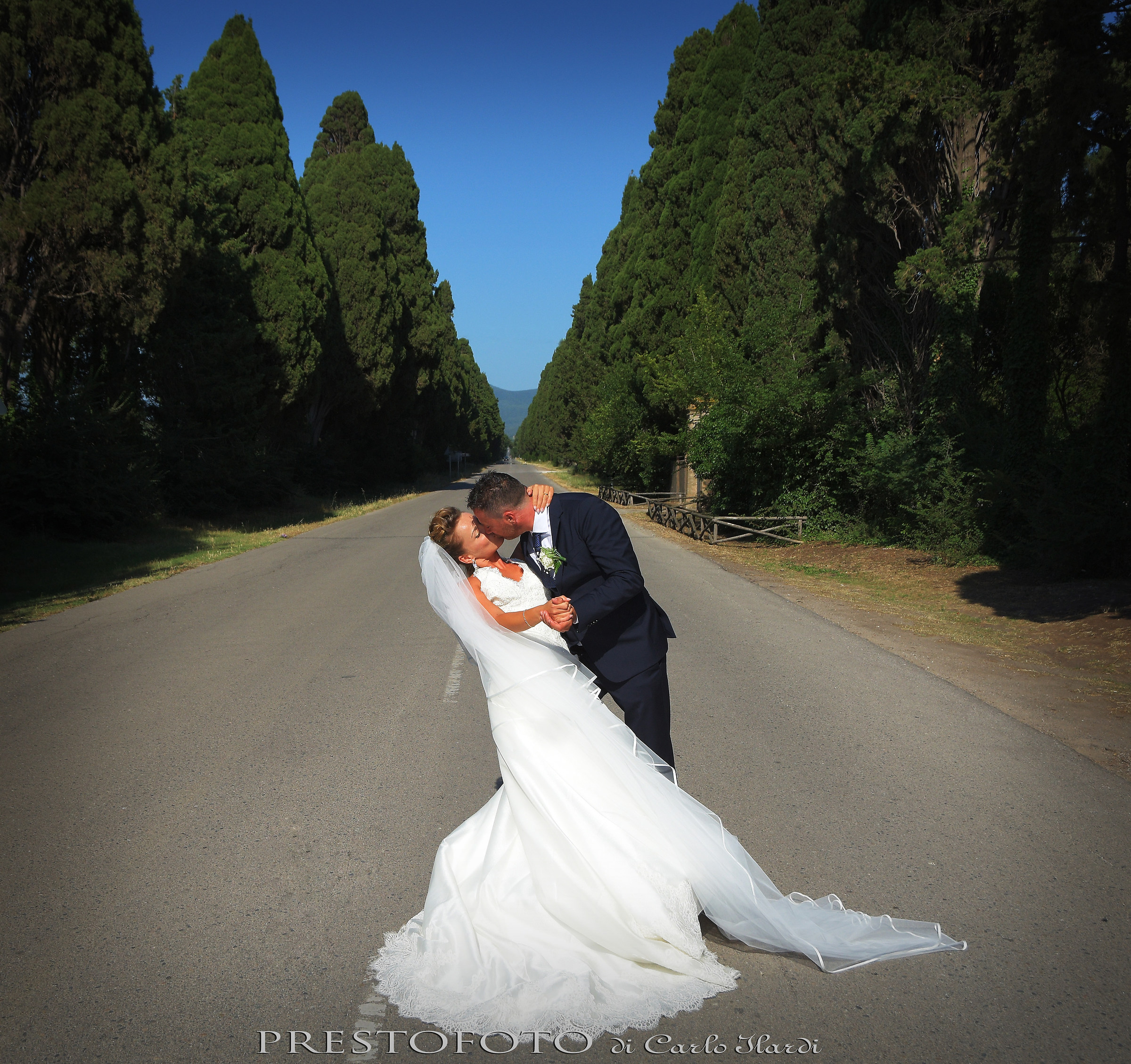 cipressi di bolgheri toscana