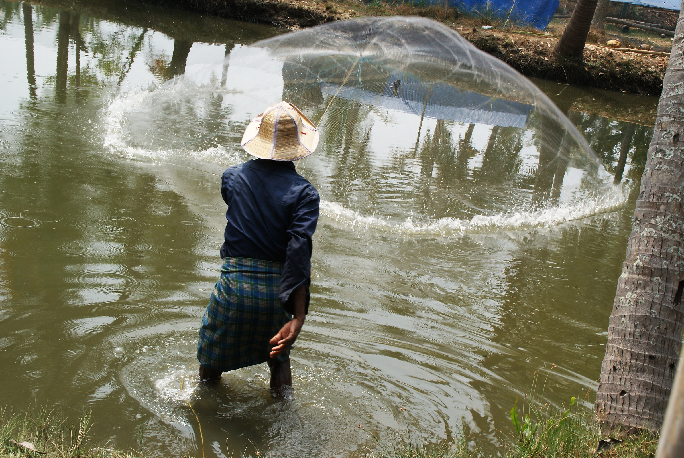 India, Cochin, fisherman