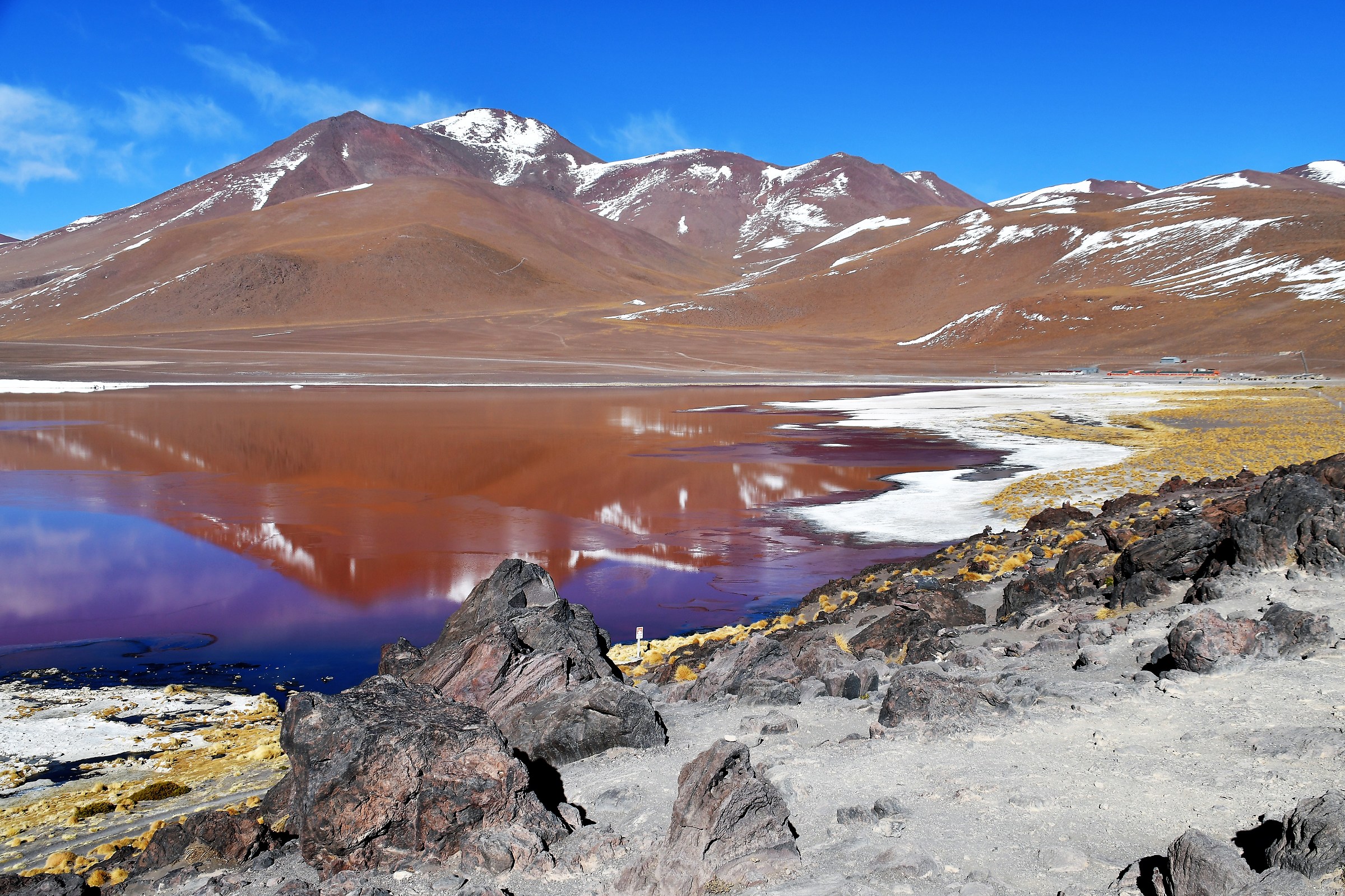 Laguna Colorada Bolivia