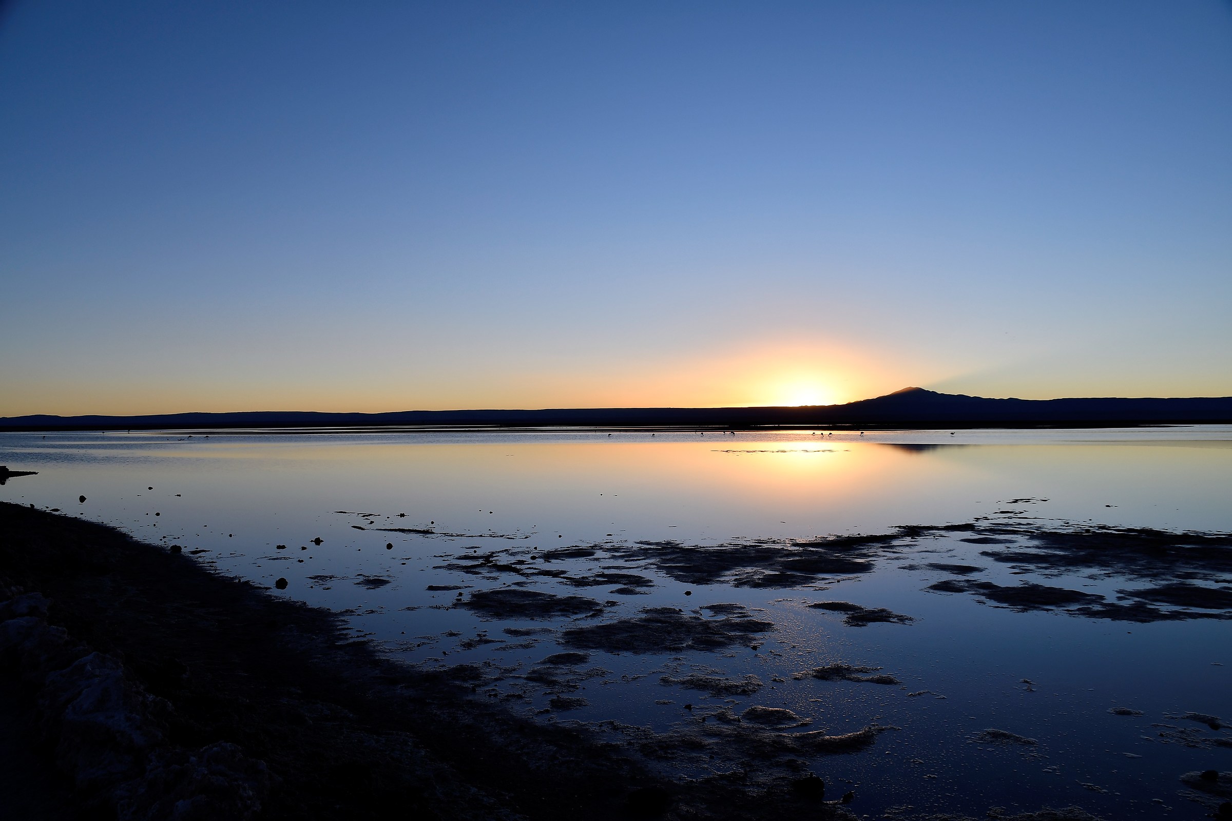 Laguna de Los Flamenco Chile