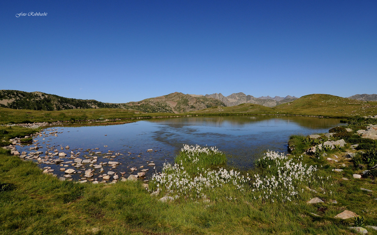 Eriofori all'Orgials...