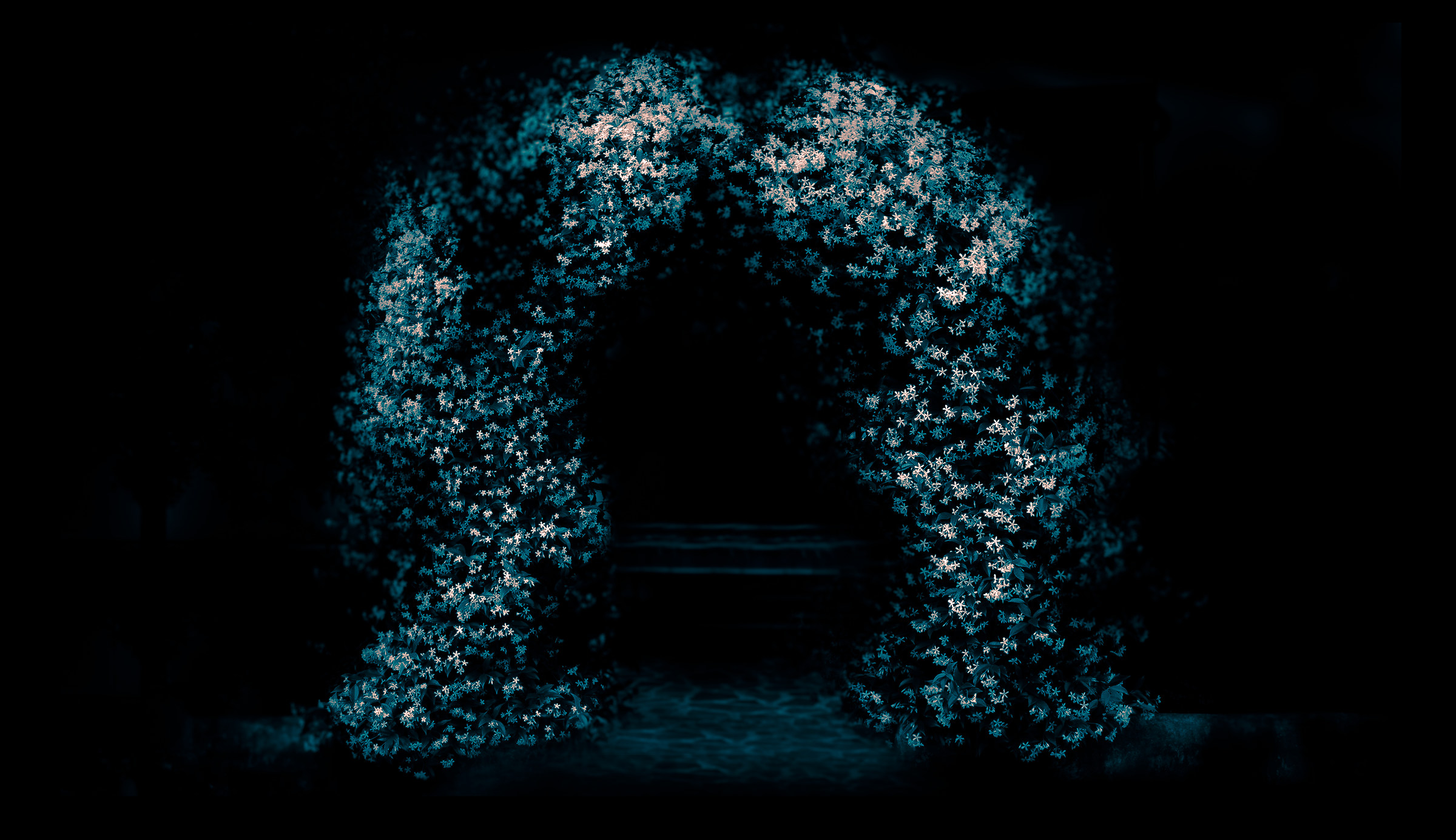 A way out of Wonderland