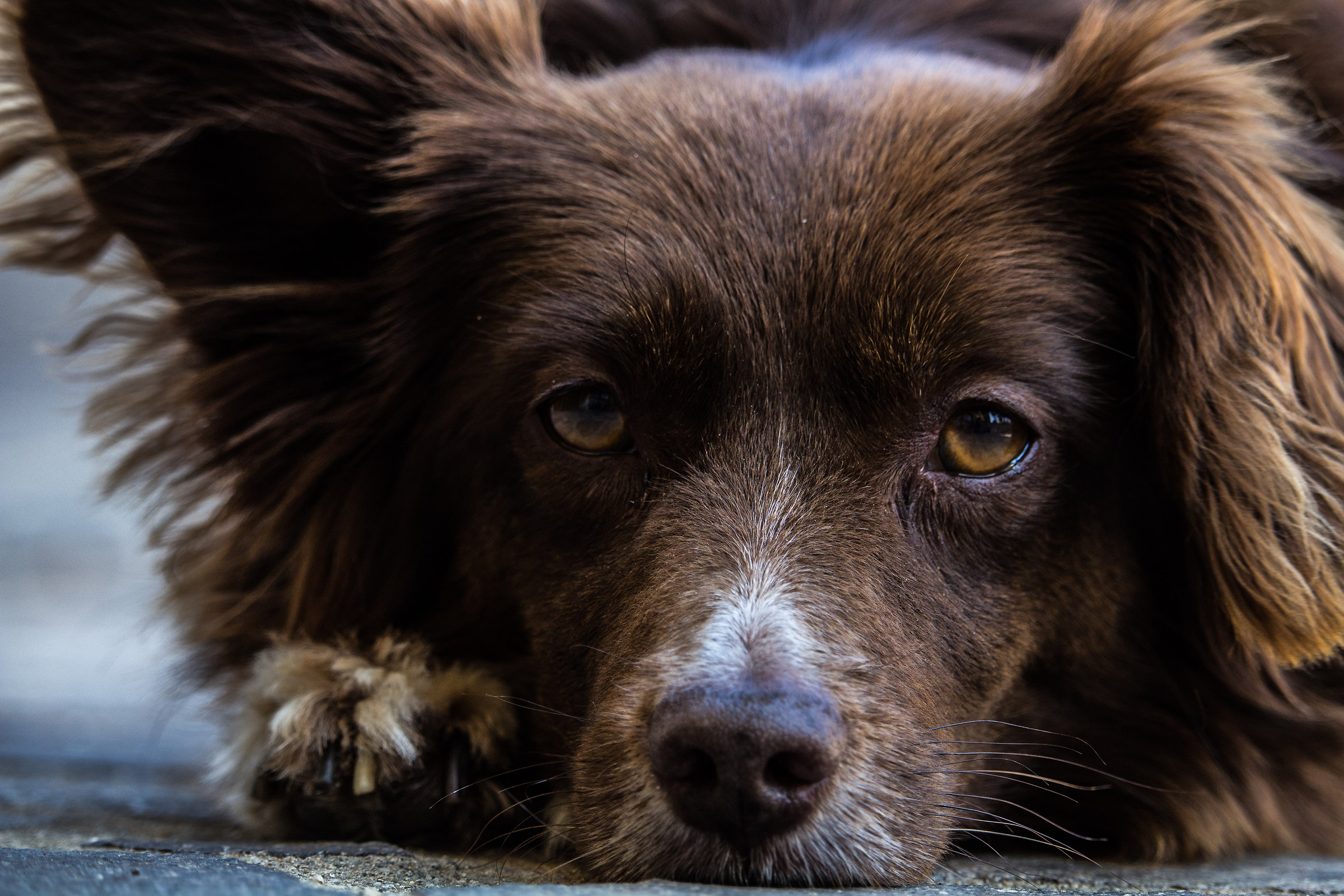 Peggy, natural expression