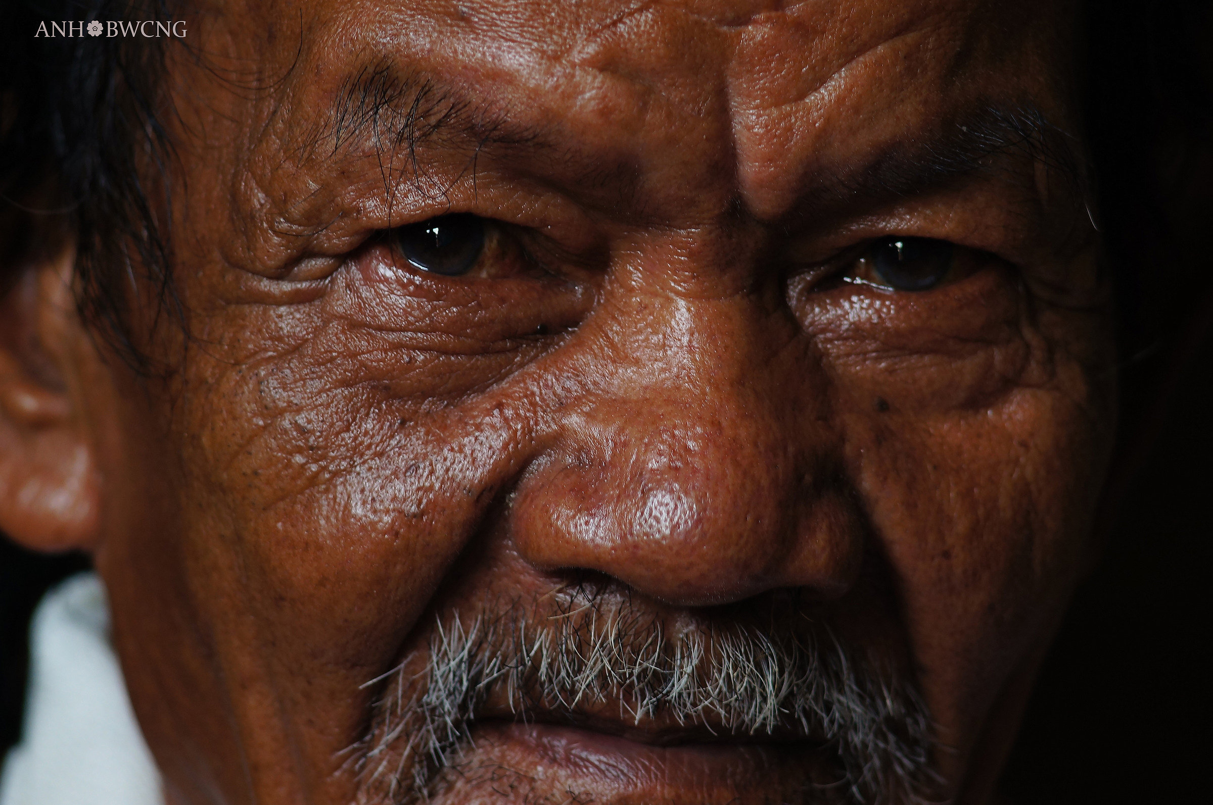 Nonno seduto sul mare