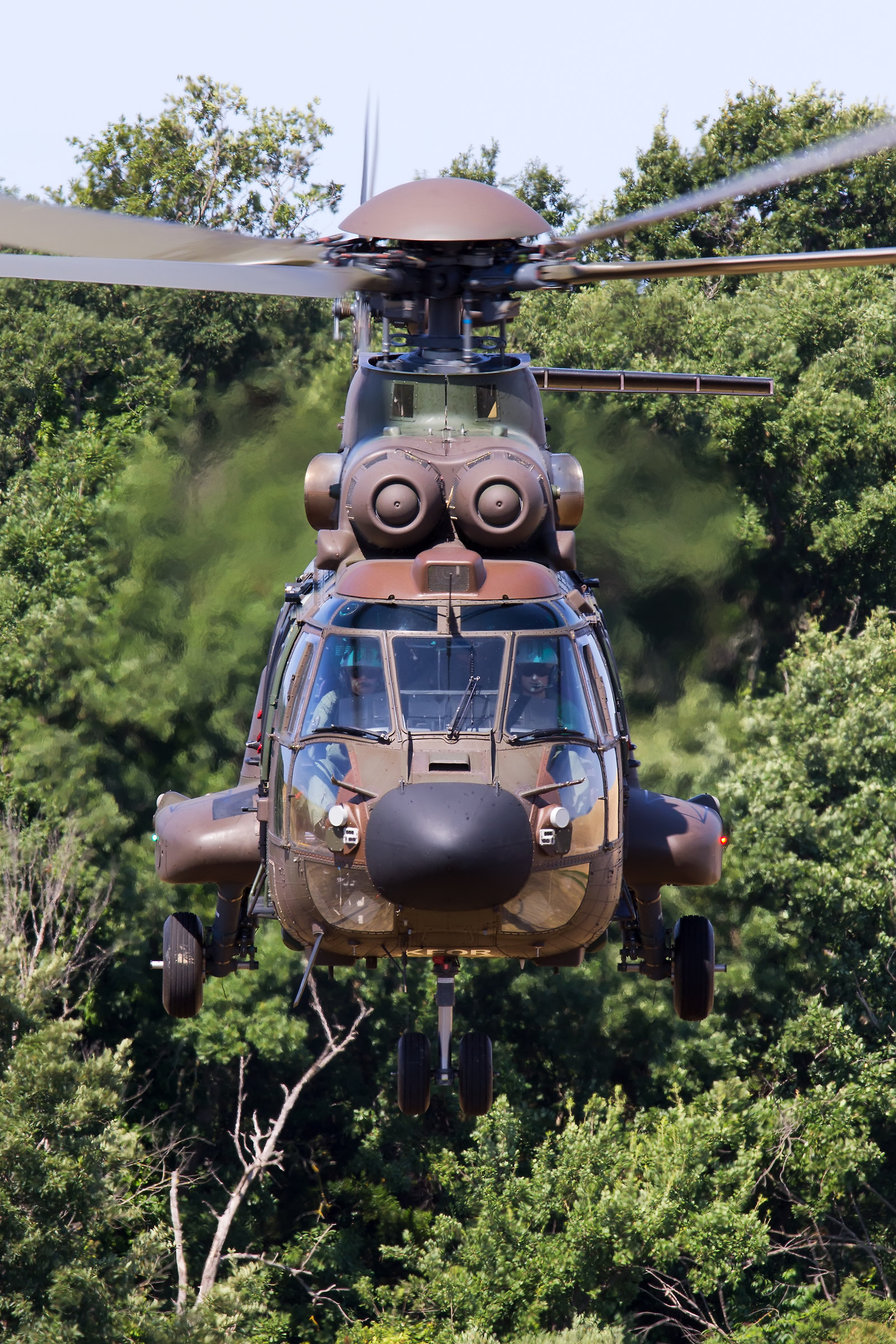 Eurocopter AS 532al Cougar