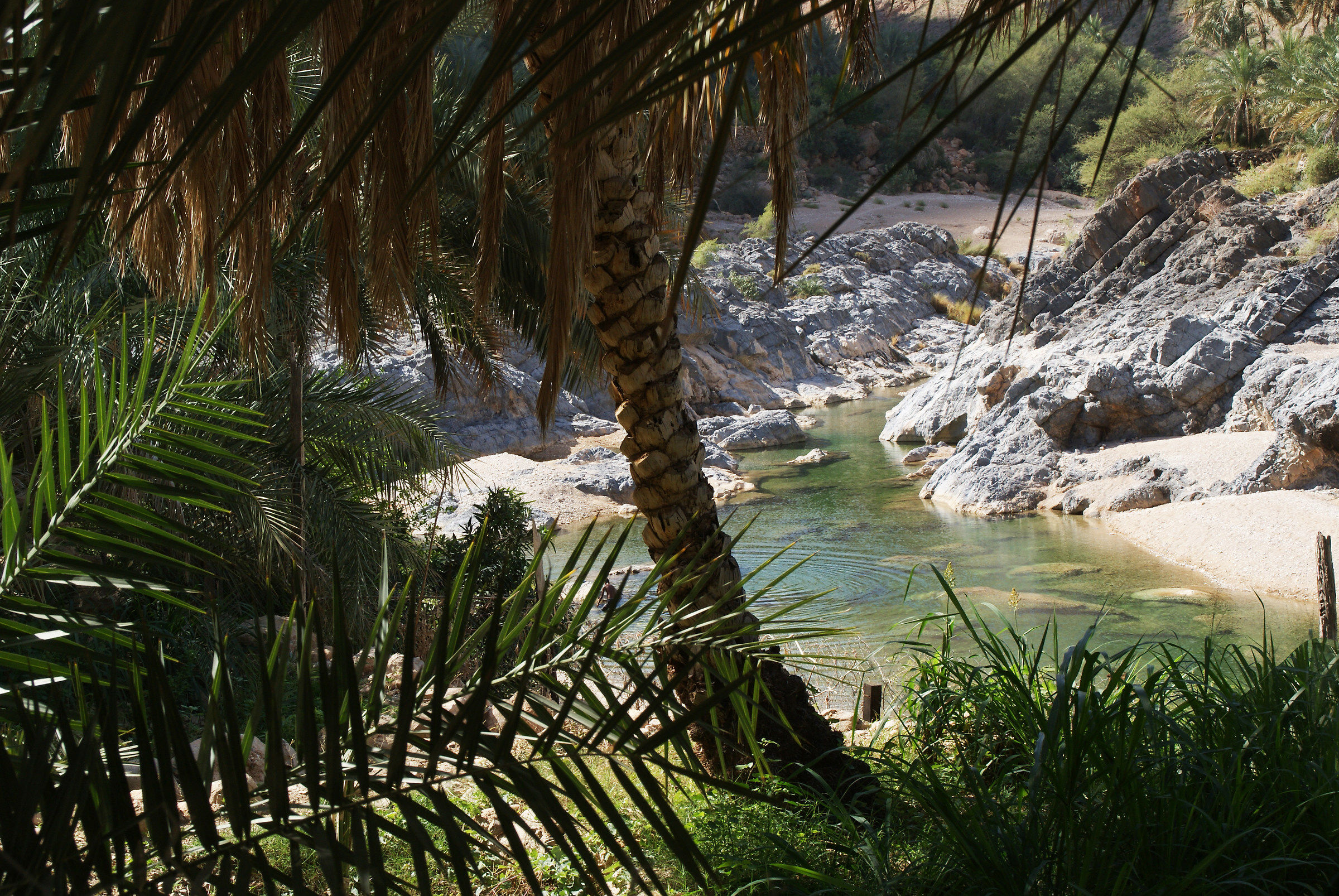 Oman, in mezzo al deserto roccioso
