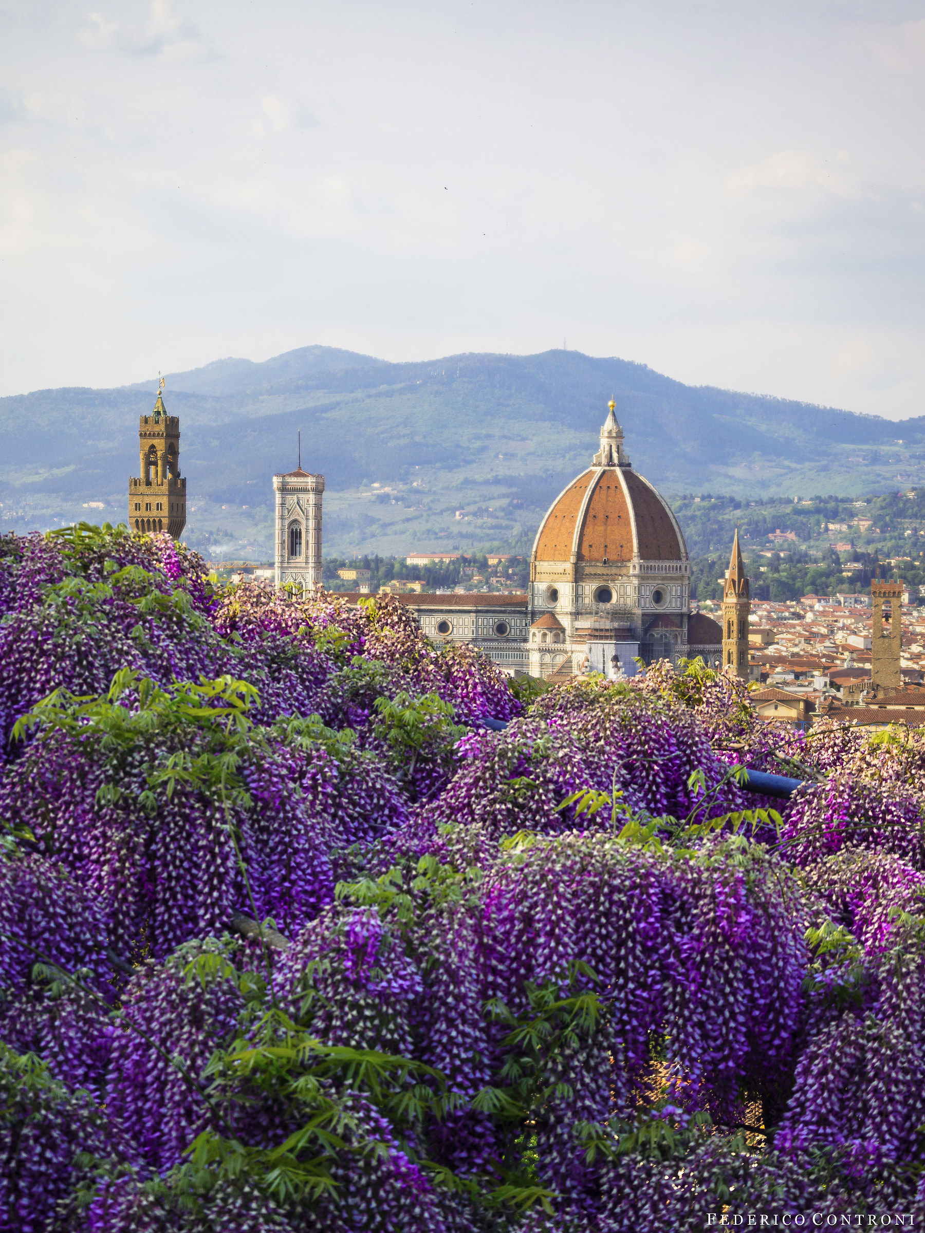 The Garden of Wonders