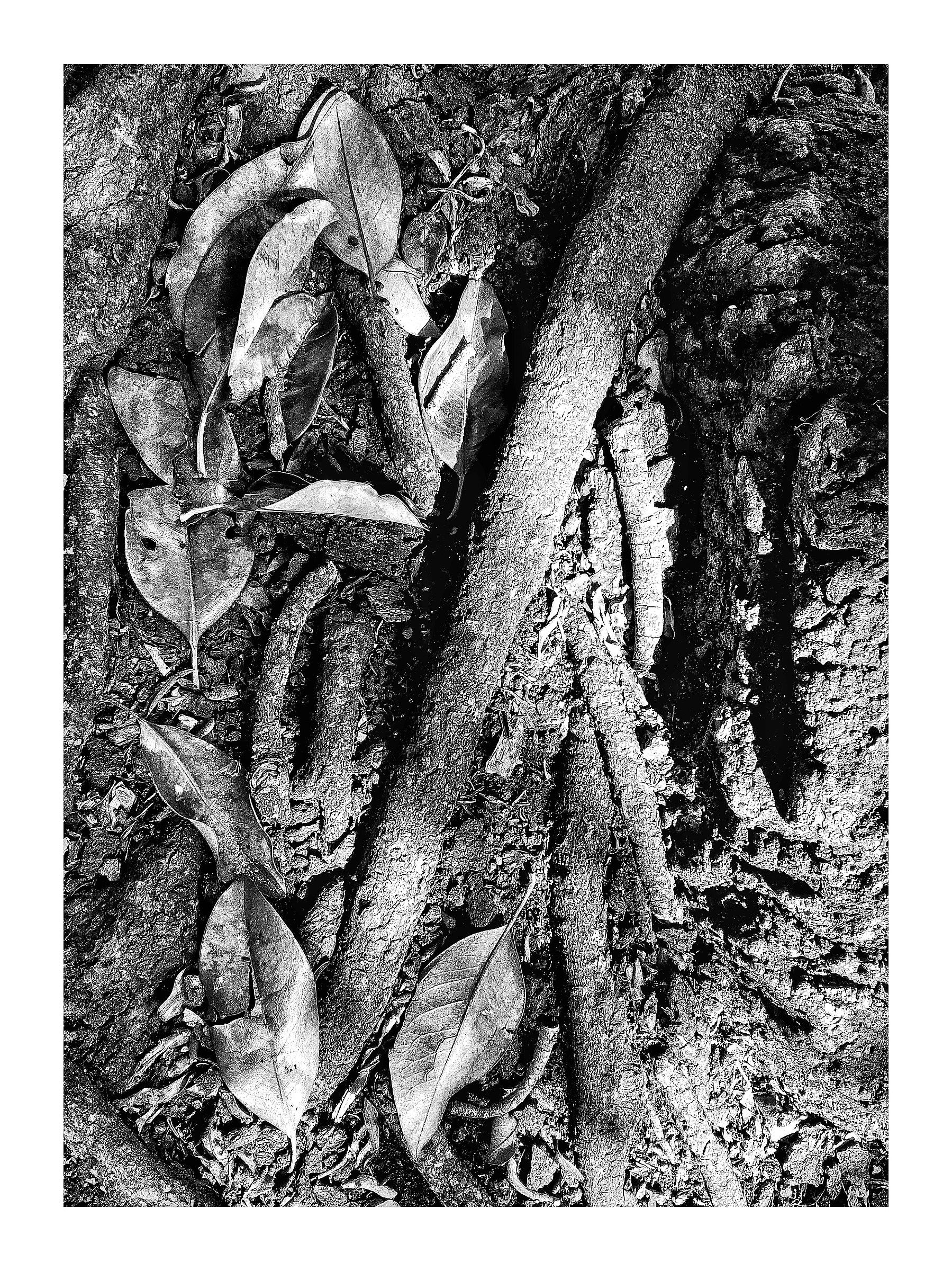 Autumn in the city ...