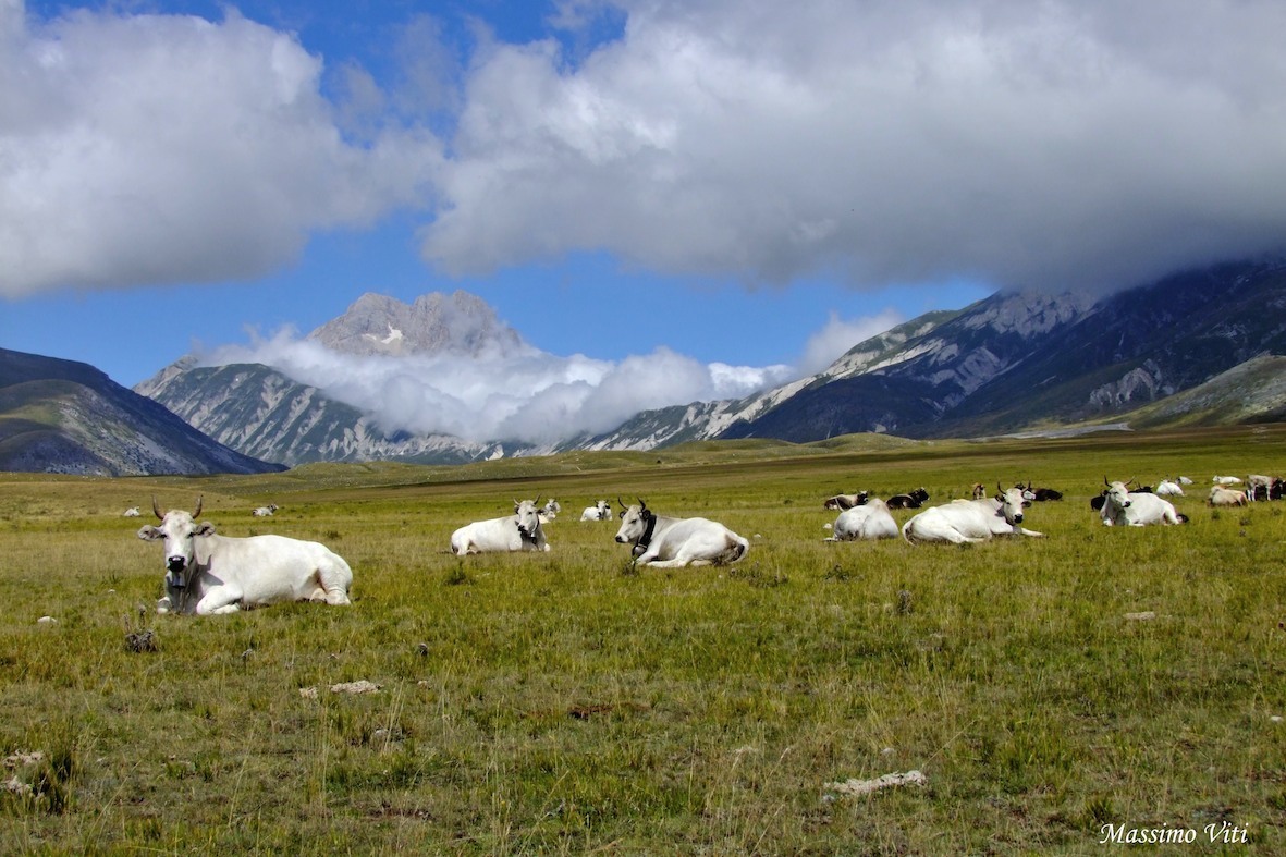 Gran Sasso D'Italia " Corno Grande ( 2912 m.s.l.m. ...