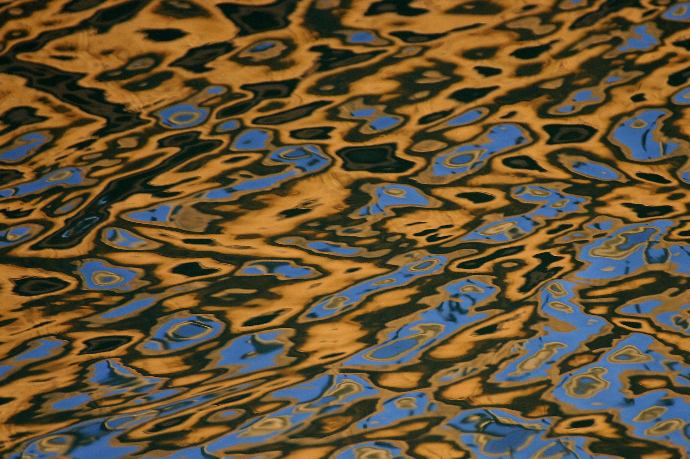 Reflections in the water